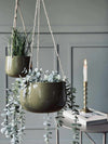 Pot de fleurs avec suspension vert - Plusieurs tailles