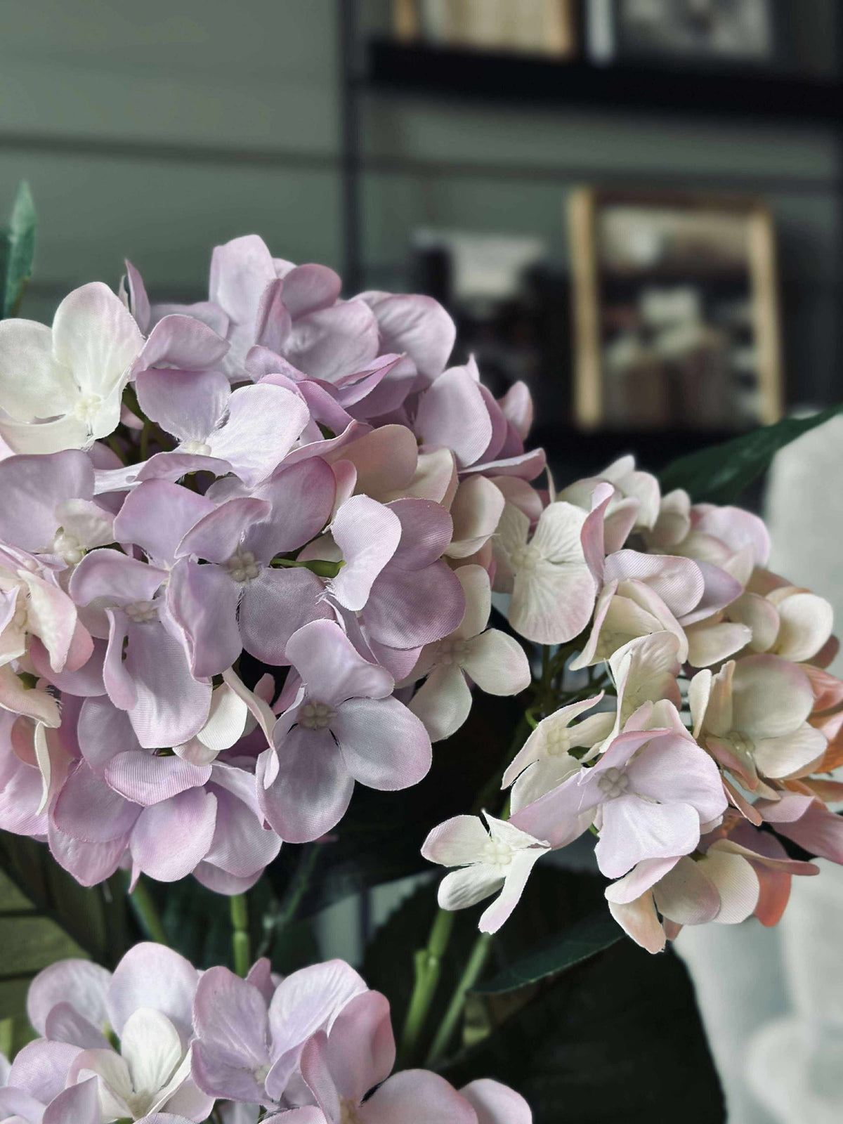 Hortensia en pot - Lilas