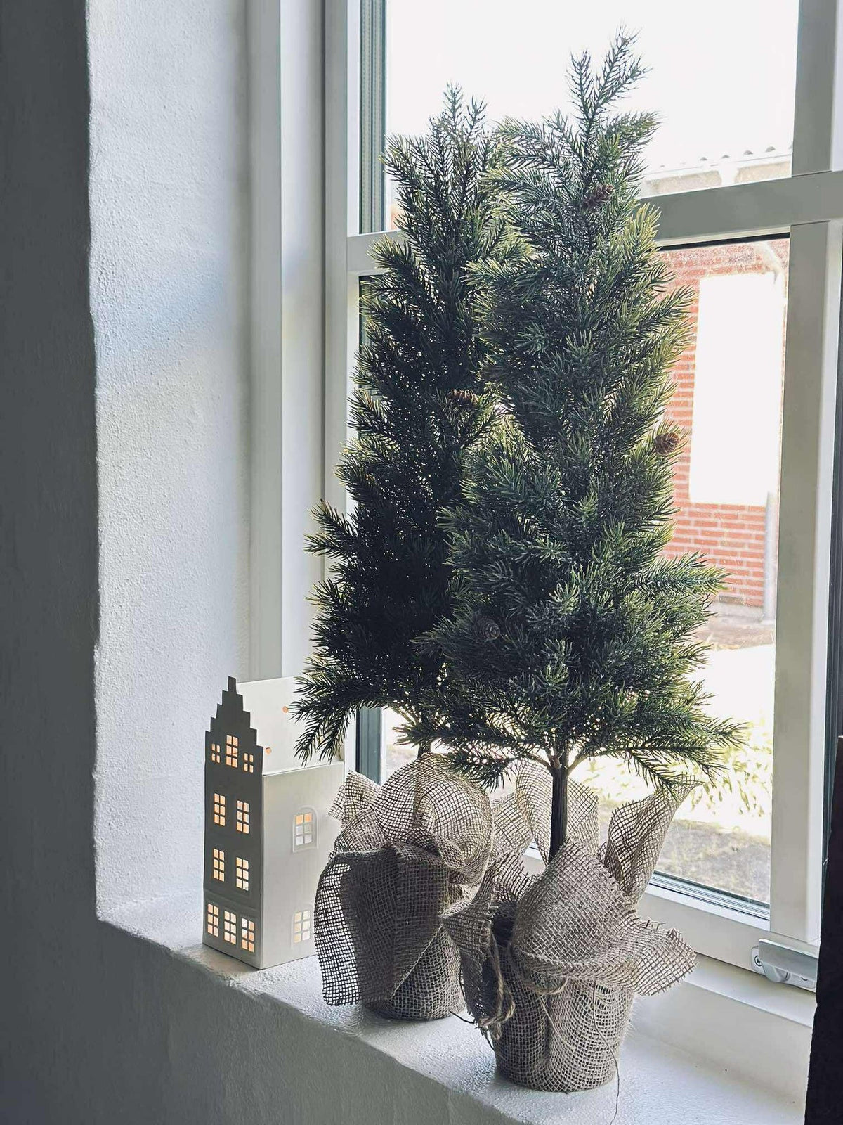 Pinetree MIX - 80 cm
