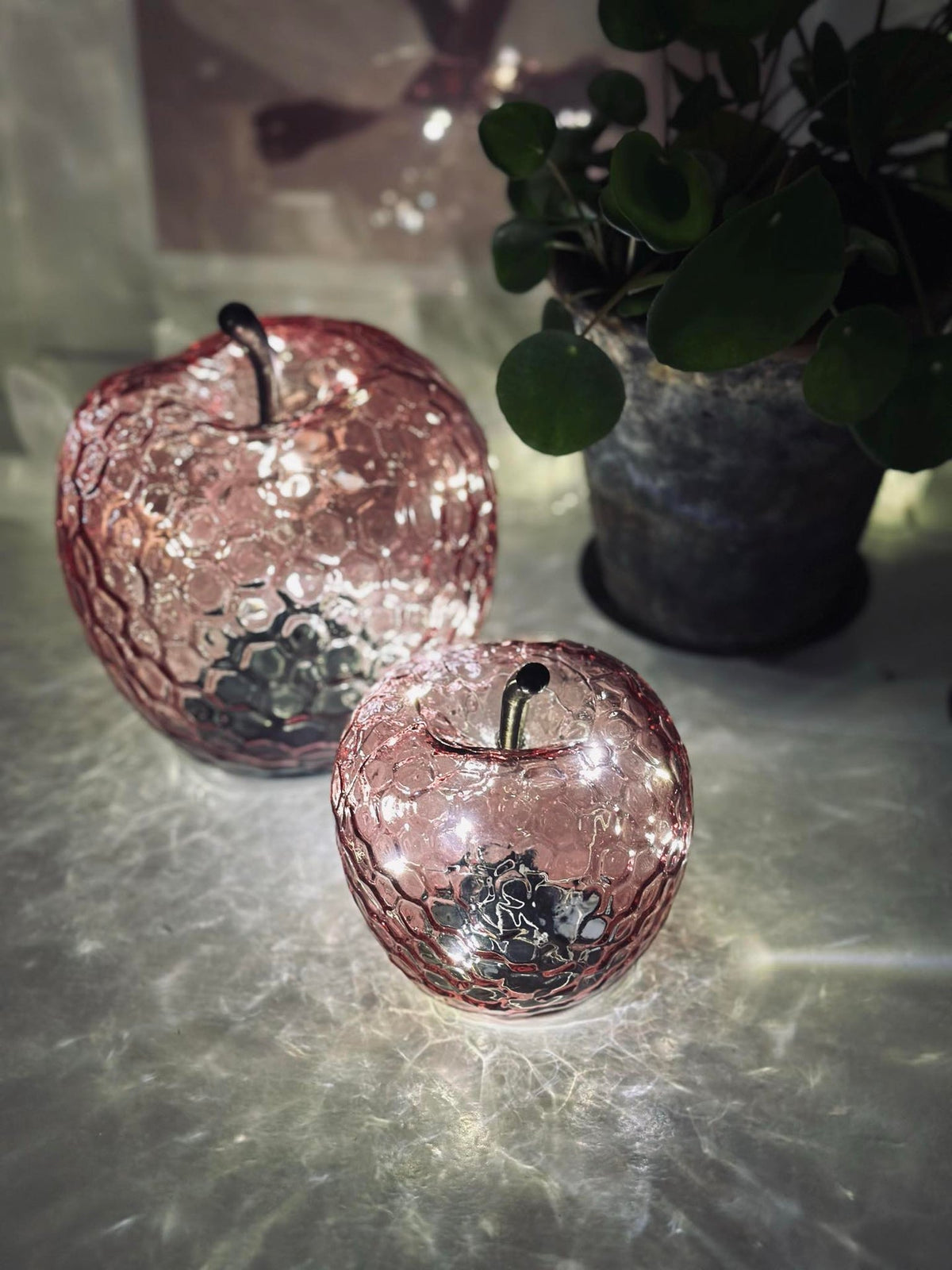 Pomme Rose - Small