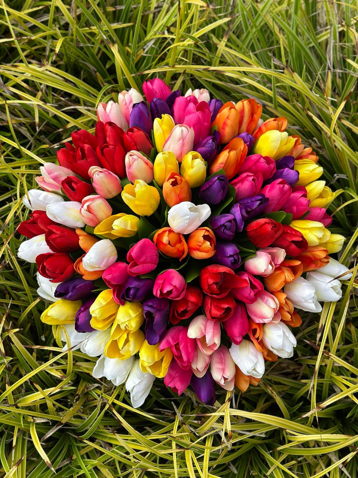 Tulipes effet soie– Plusieurs couleurs