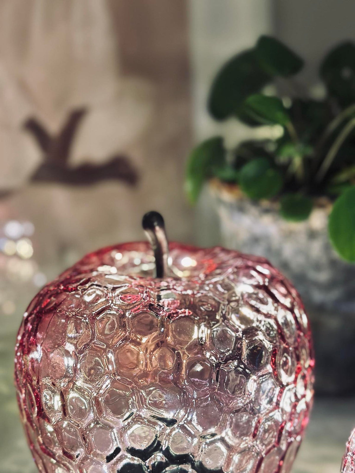 Pomme Rose - Small