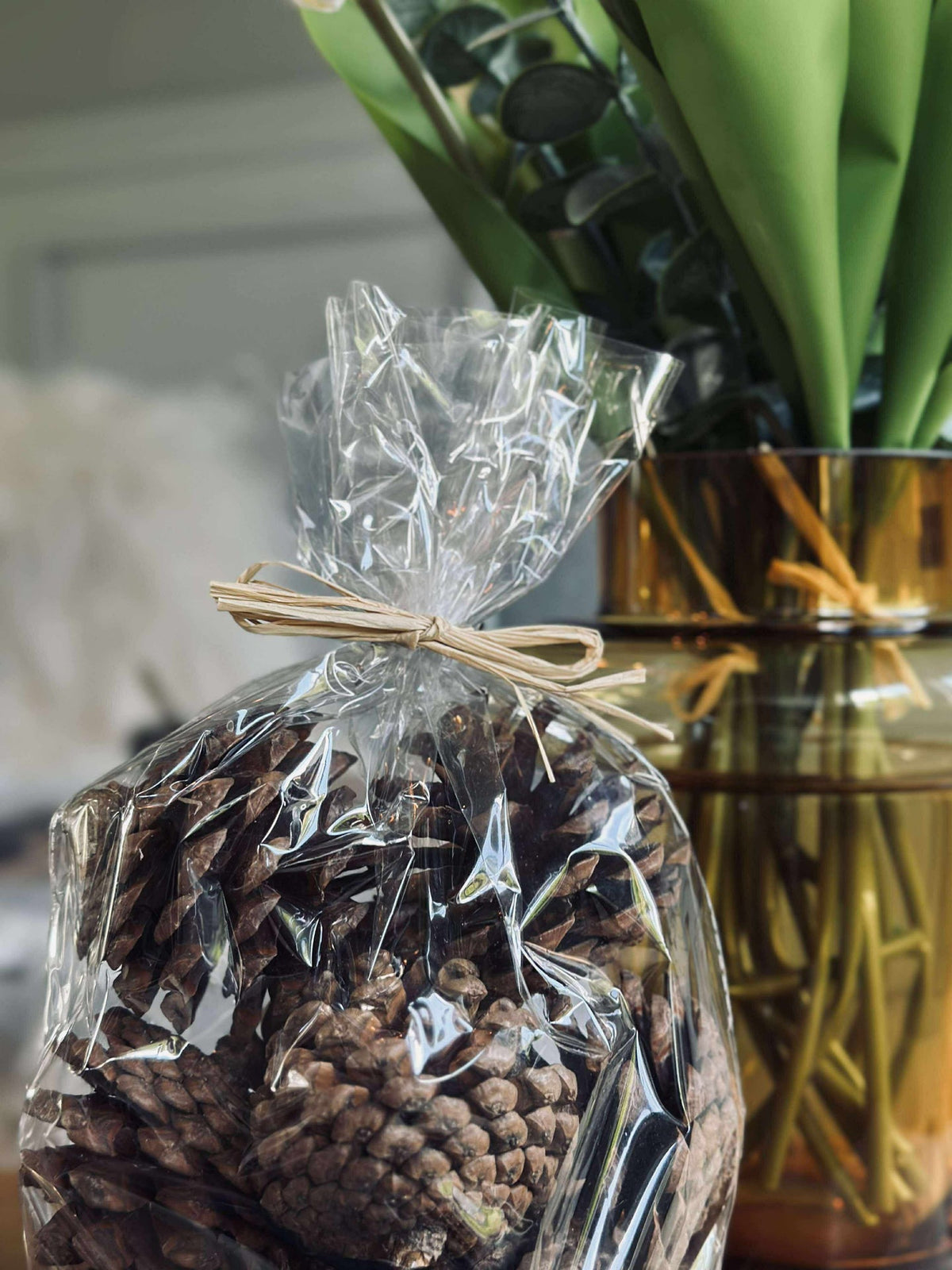 Pommes de pin en sachet - 200 grammes.