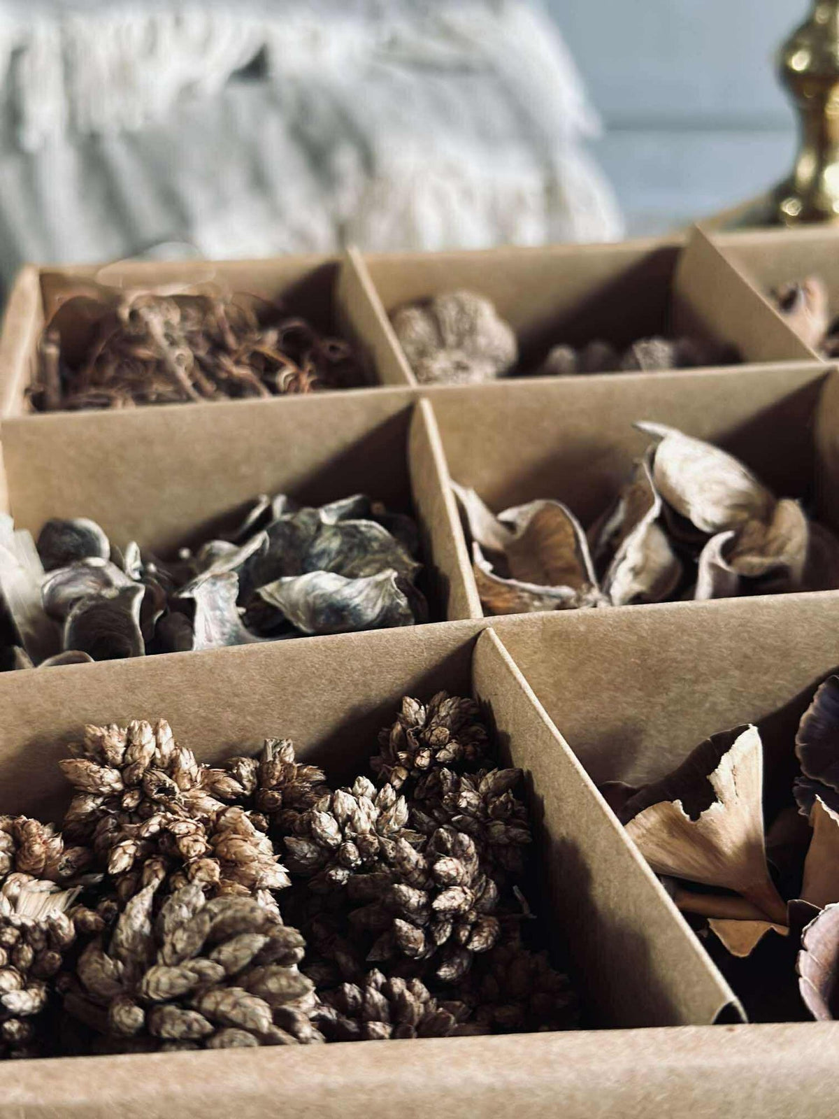Boîte déco avec décoration naturelle - MIX