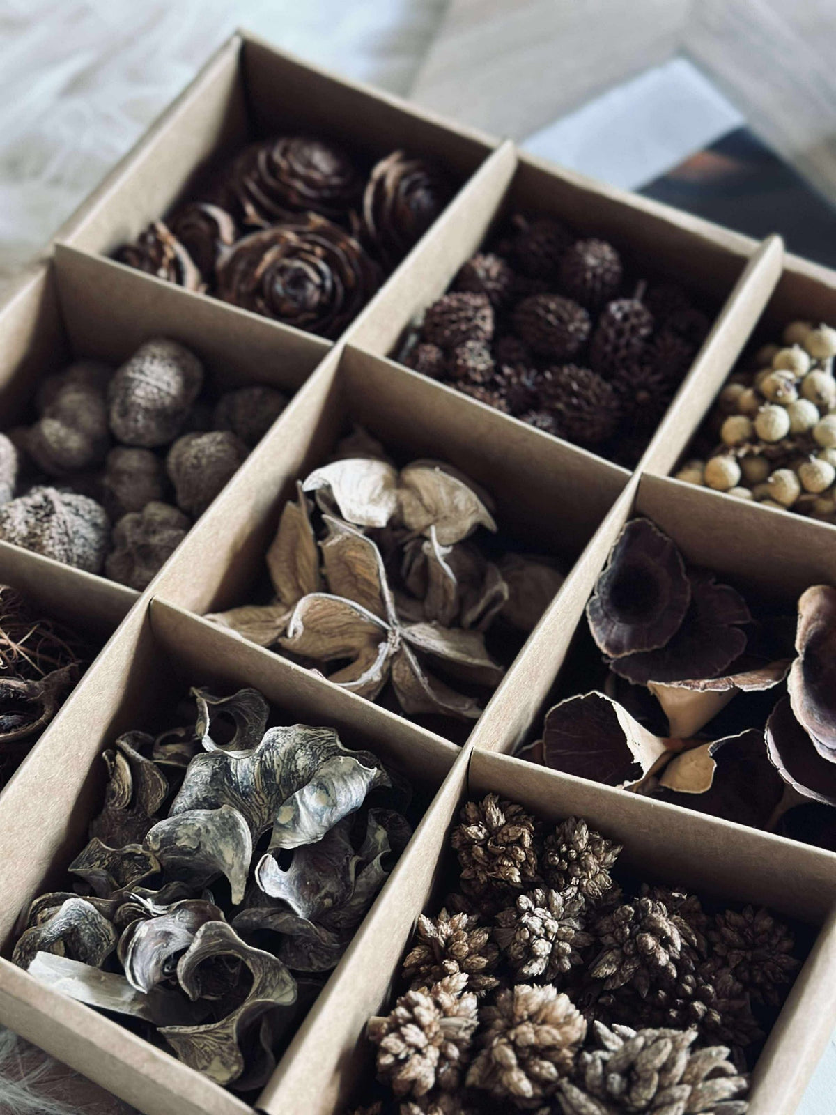 Boîte déco avec décoration naturelle - MIX