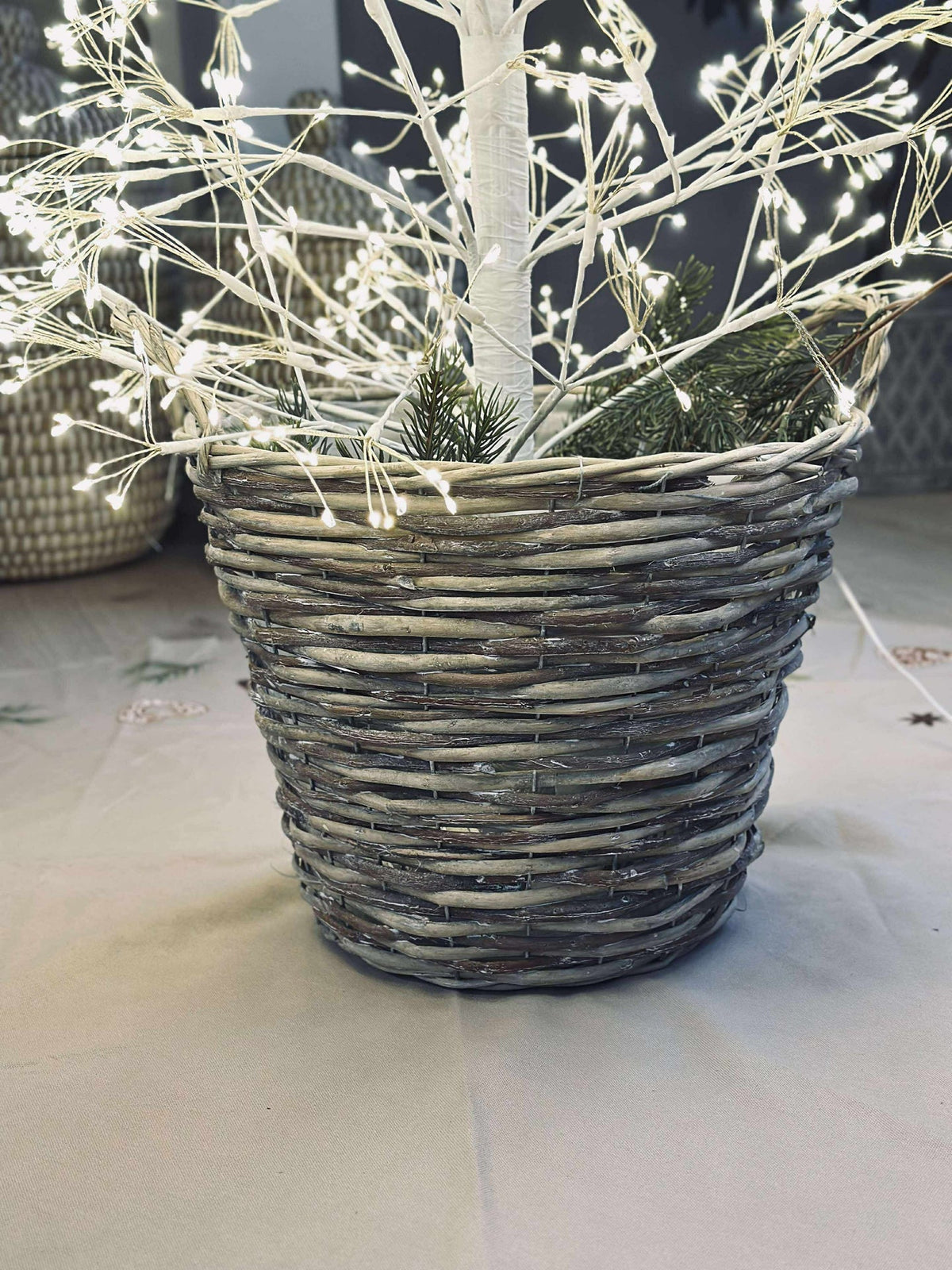 Paniers pour plantes  – Lot de 3 tailles