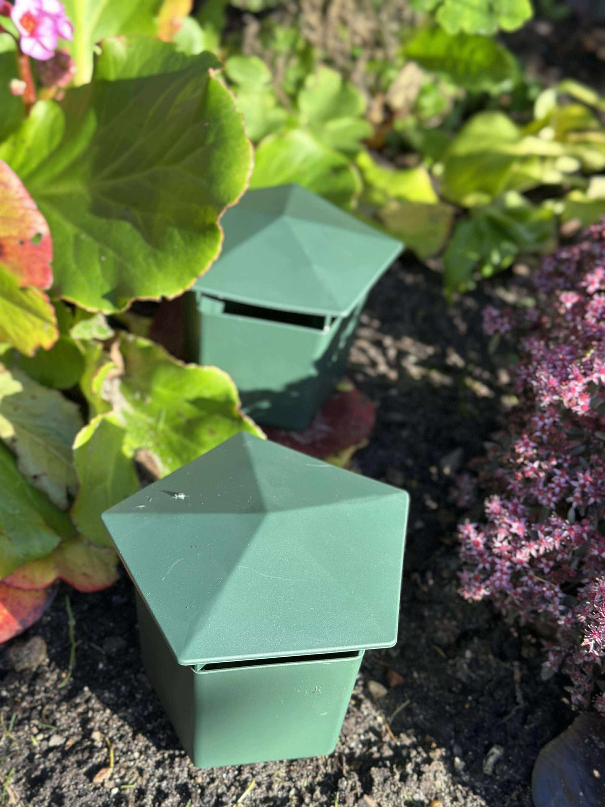 Piège à limaces 2 pcs