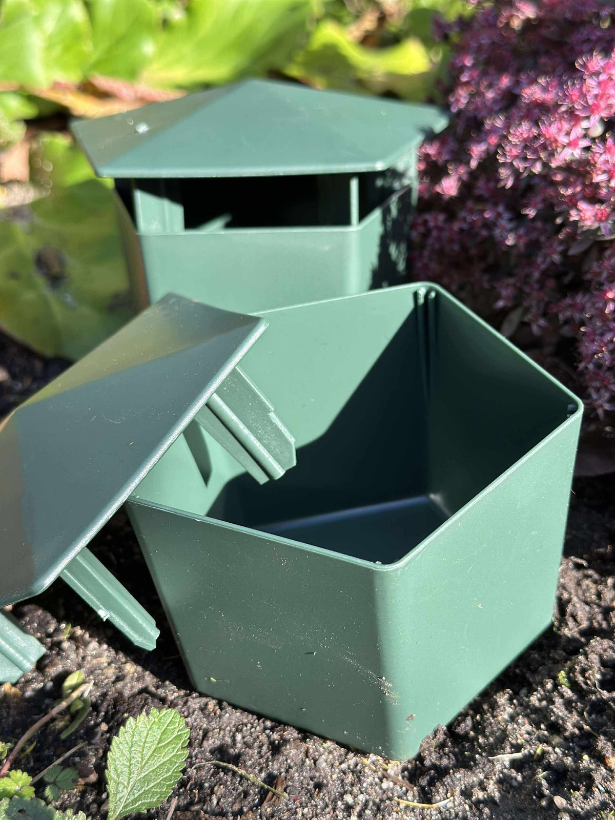 Piège à limaces 2 pcs