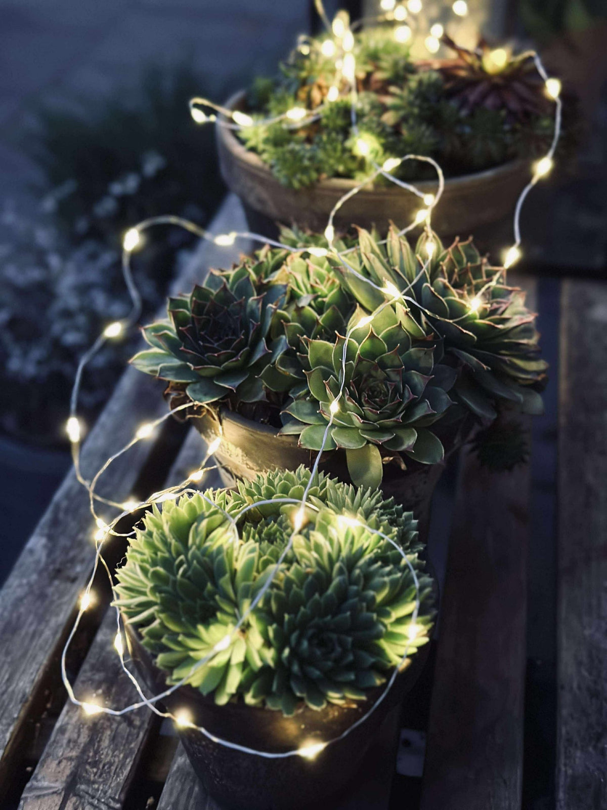 Guirlande lumineuse Marly avec solaire - 100 lumières