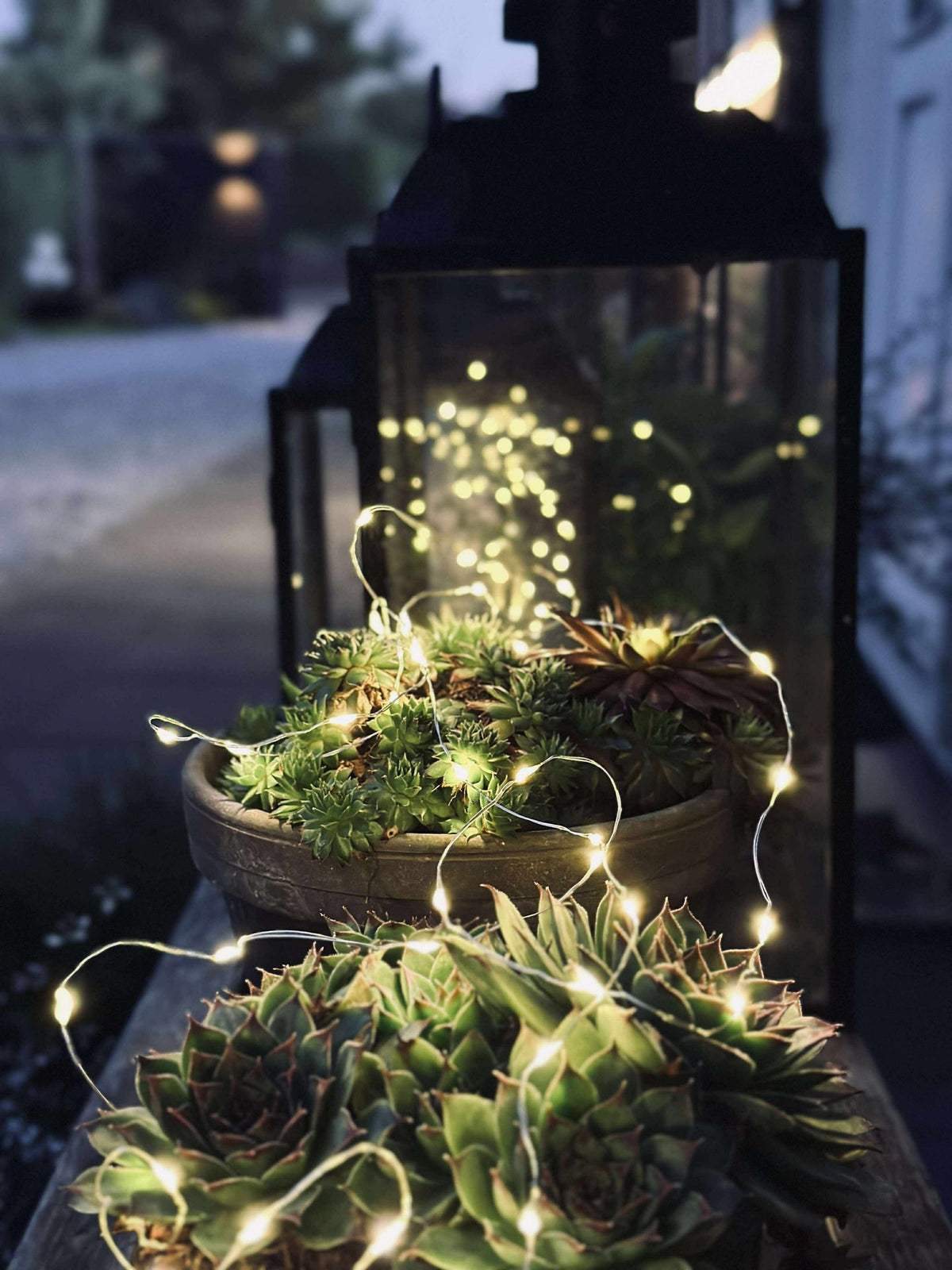 Guirlande lumineuse Marly avec solaire - 100 lumières