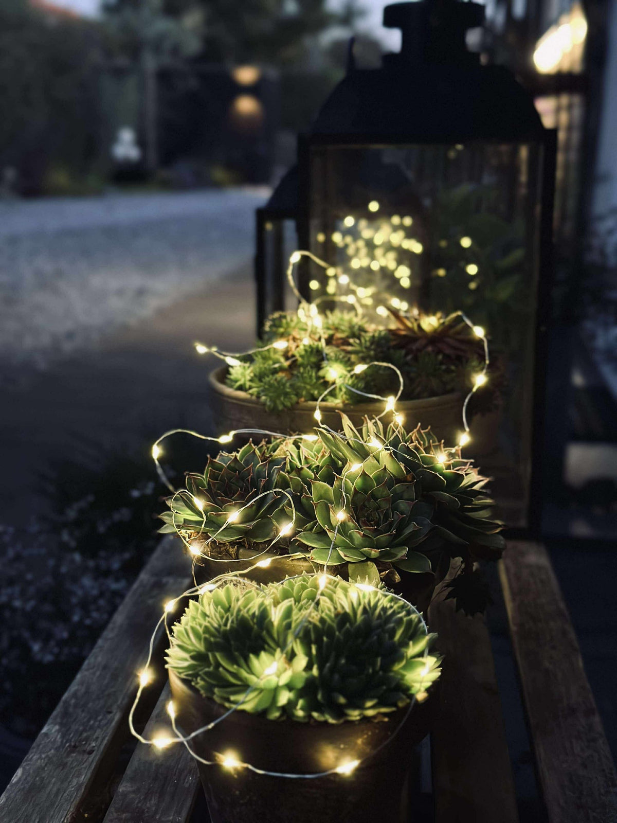 Guirlande lumineuse Marly avec solaire - 100 lumières