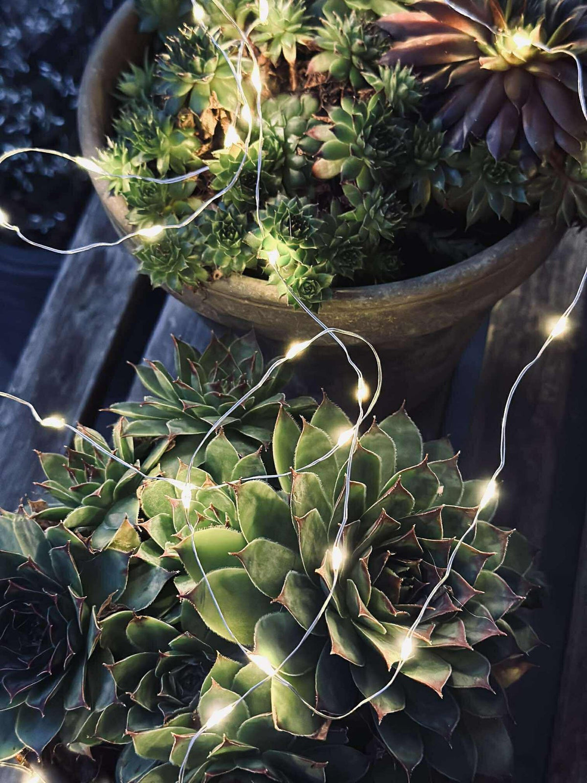 Guirlande lumineuse Marly avec solaire - 100 lumières