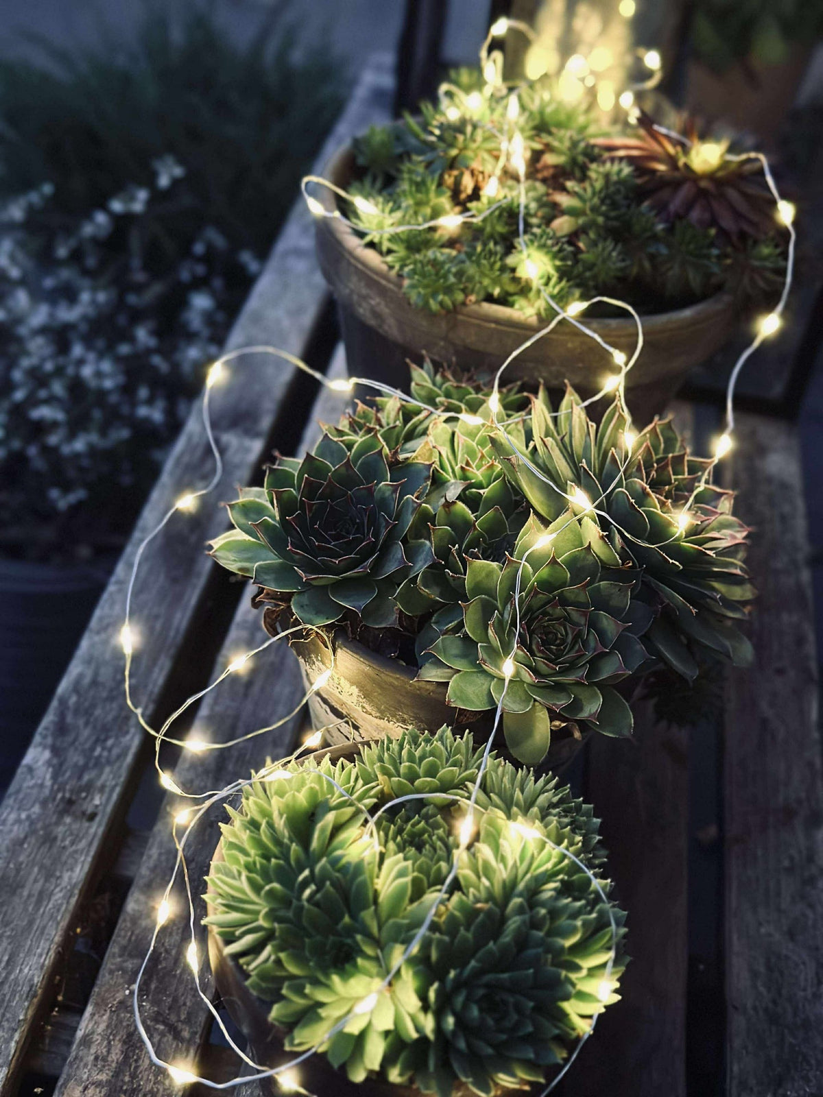 Guirlande lumineuse Marly avec solaire - 100 lumières