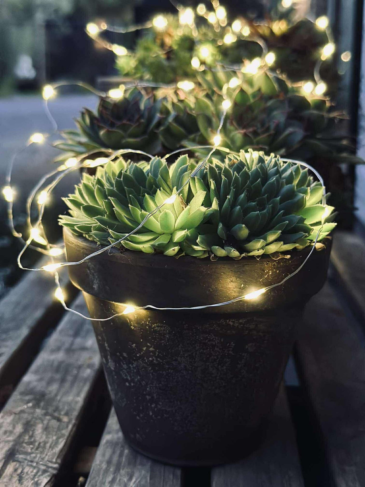 Guirlande lumineuse Marly avec solaire - 100 lumières