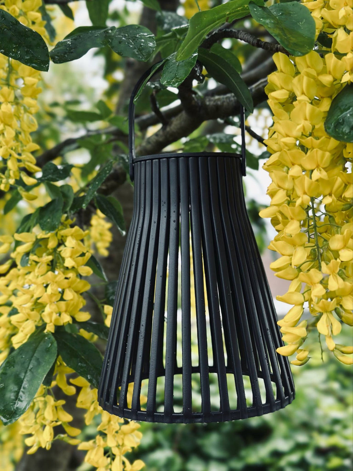 Lanterne avec cellules solaires - GARDEN BLACK 14cm