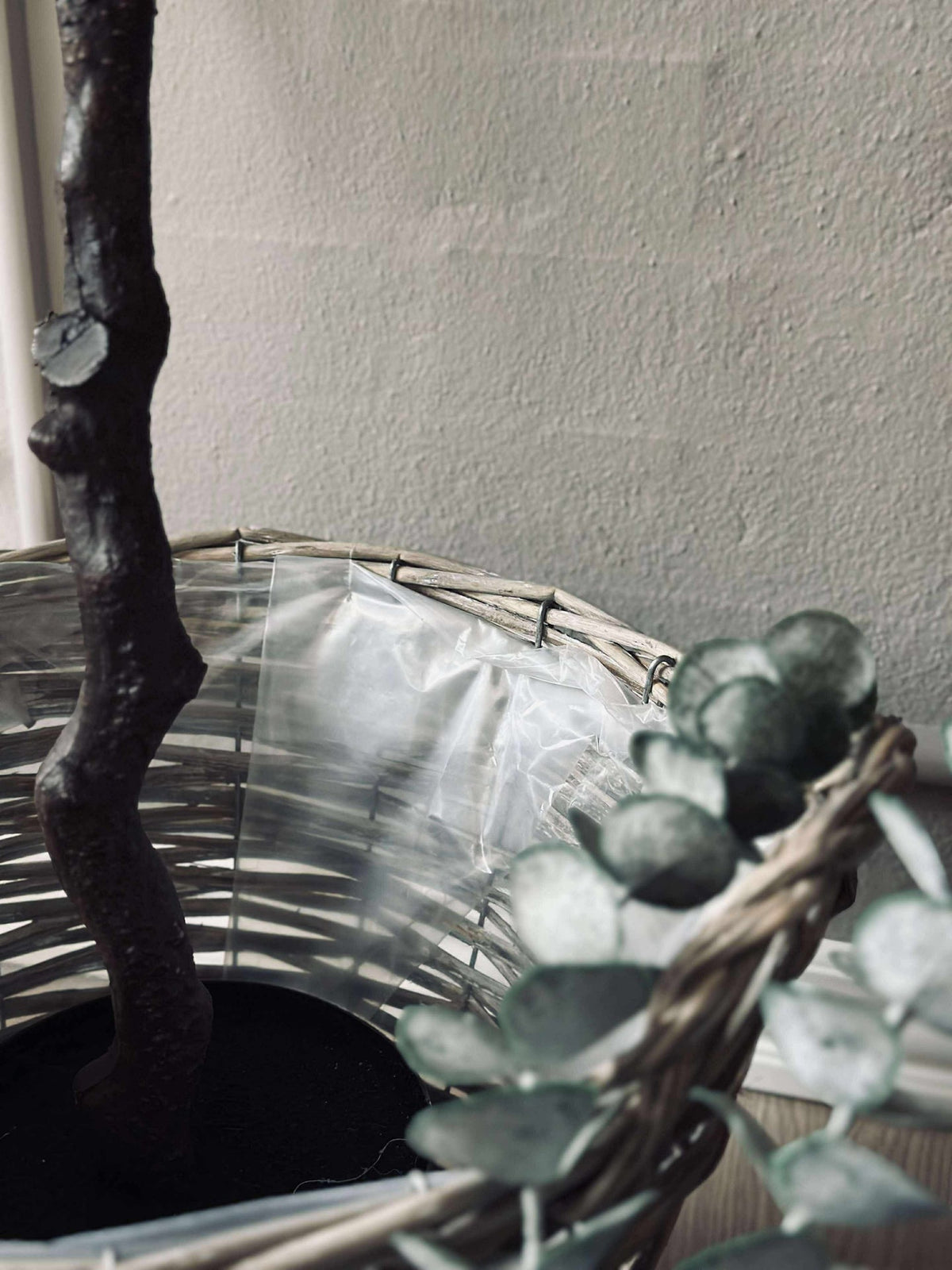 Paniers pour plantes  – Lot de 3 tailles