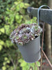 Pot rainuré avec suspension - Gris