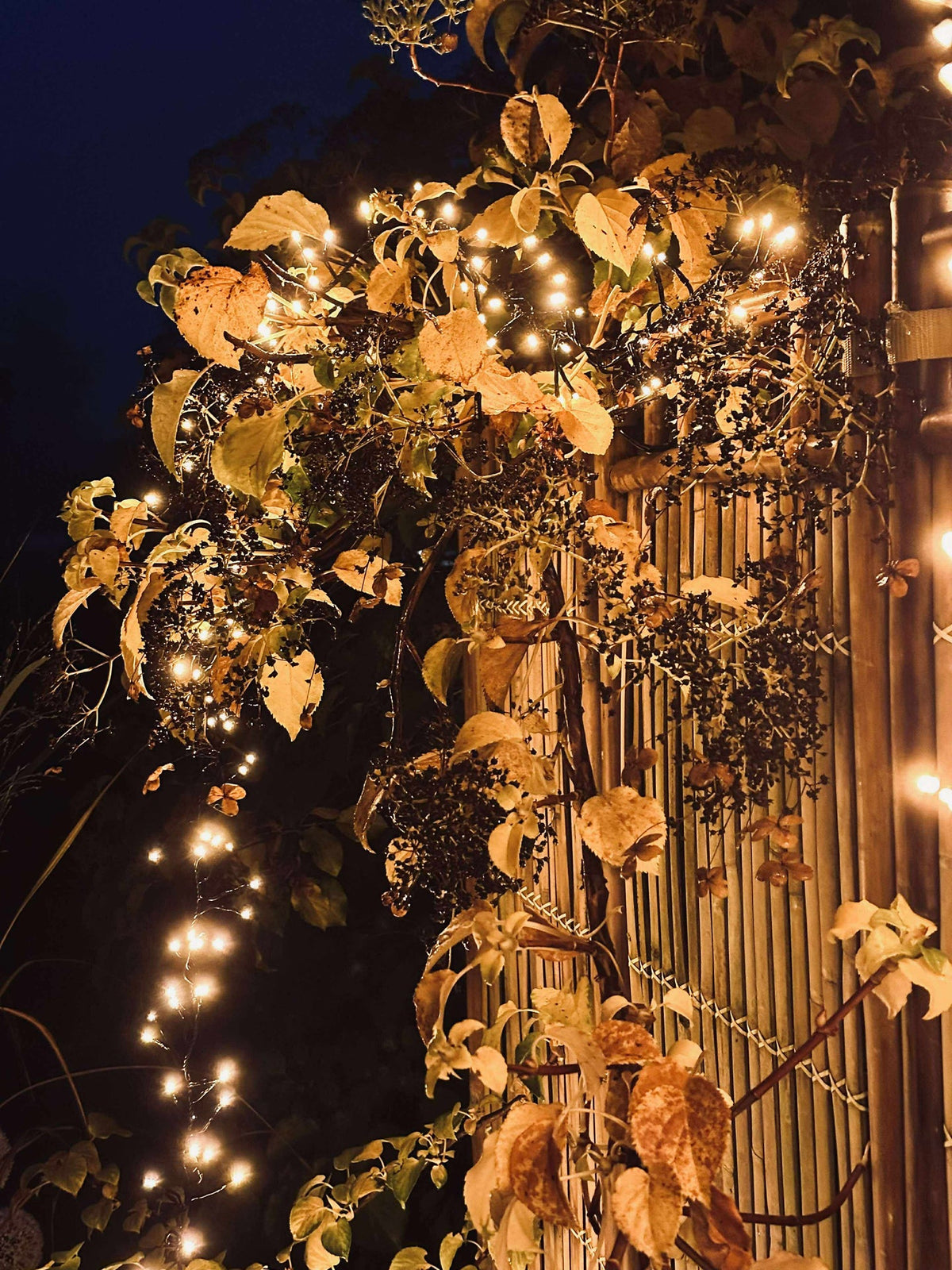 Guirlande lumineuse CLUSTER - Nouvelle lueur extra chaude