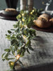 Guirlande lumineuse avec feuilles d’eucalyptus vertes