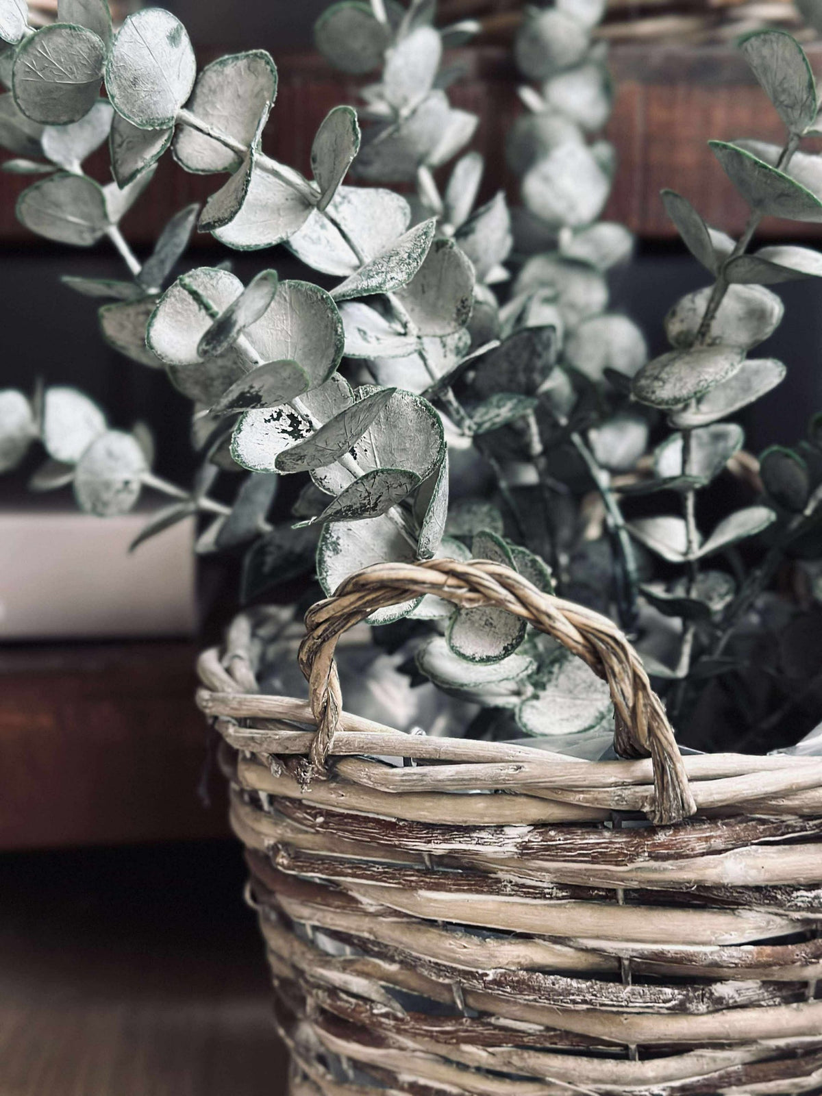 Paniers pour plantes  – Lot de 3 tailles