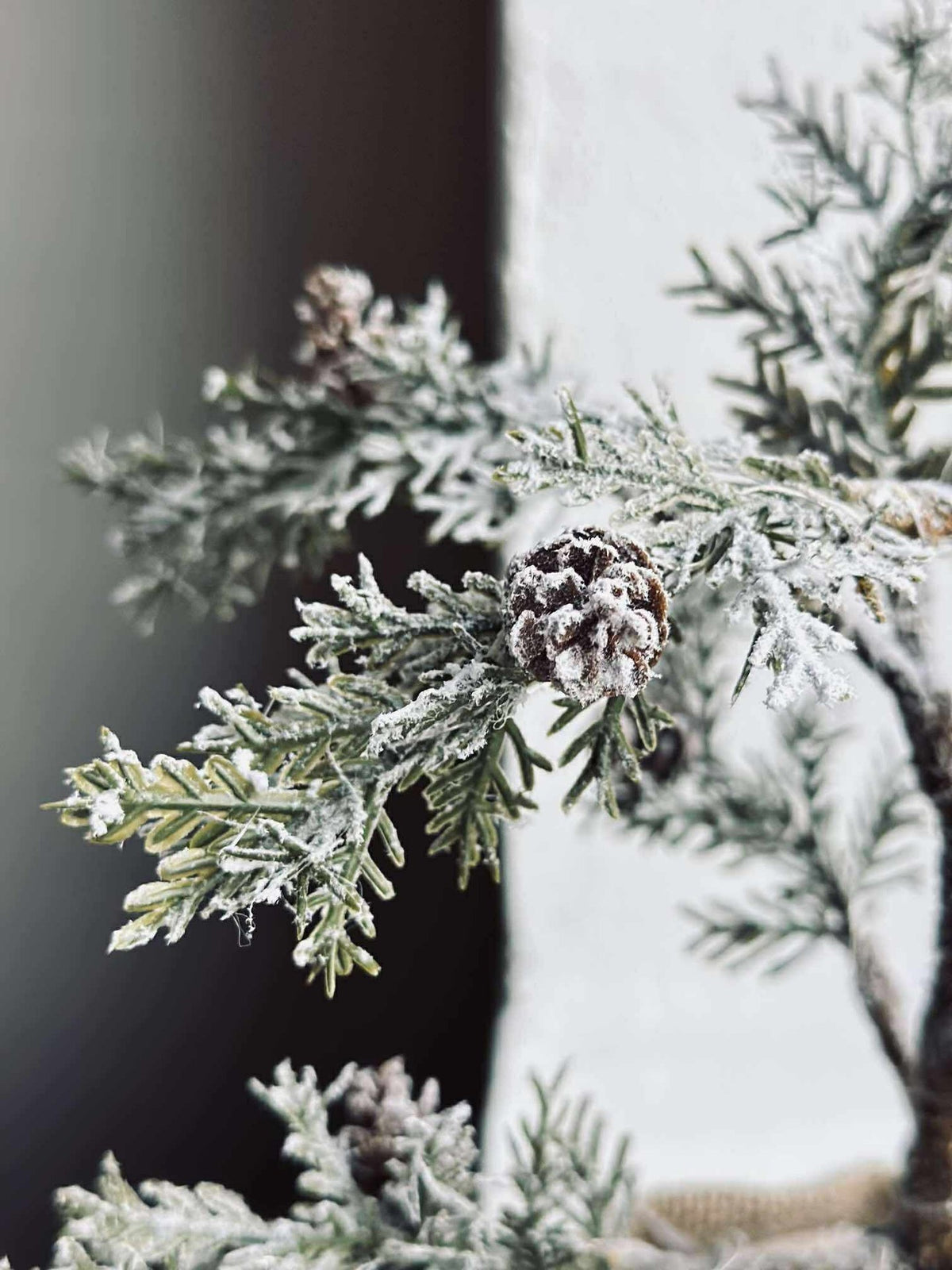 Arbre avec pommes de pin et guirlande lumineuse