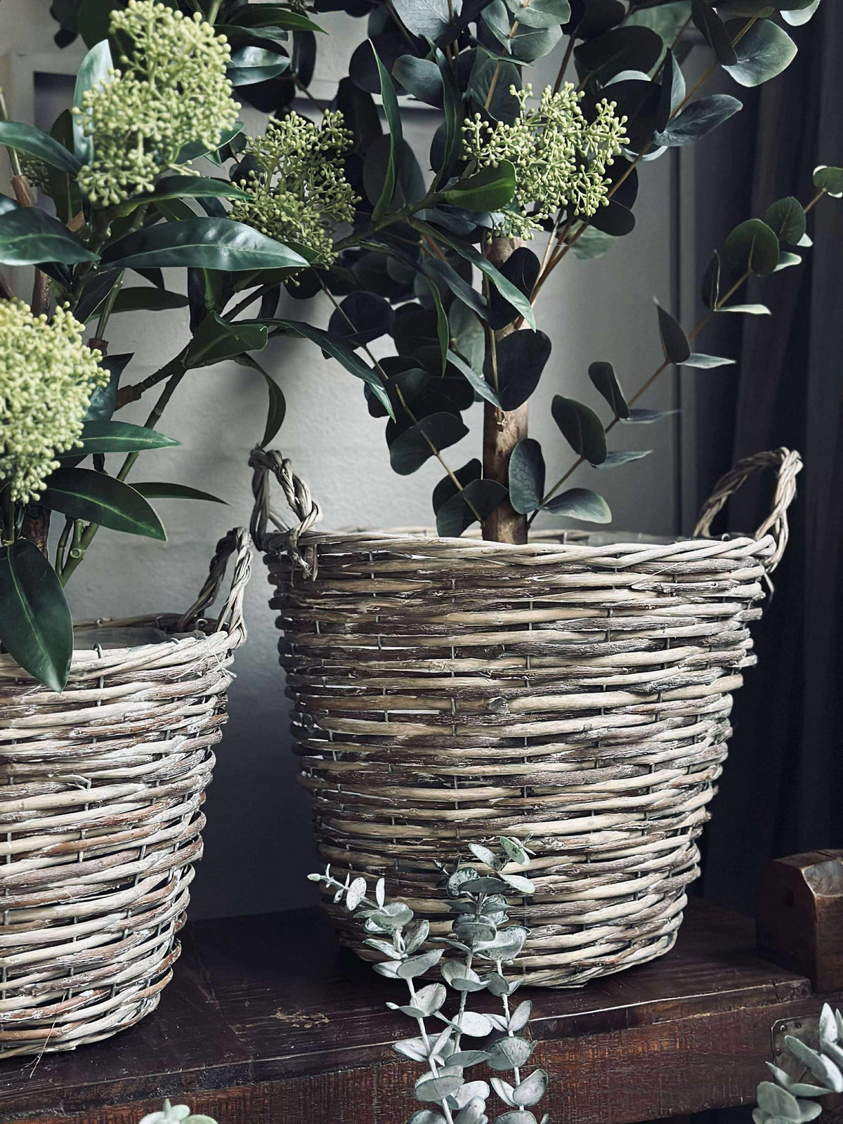 Paniers pour plantes  – Lot de 3 tailles