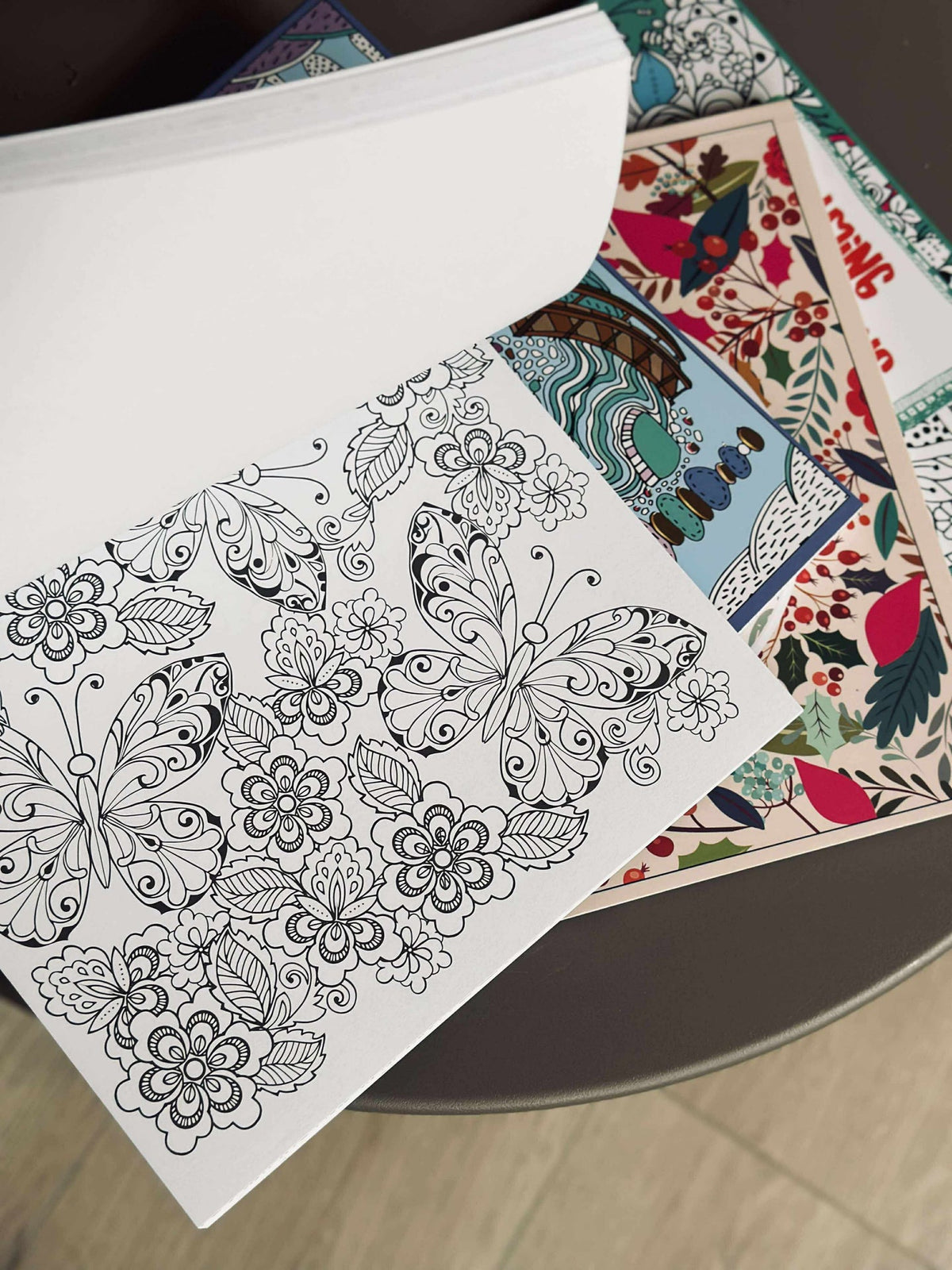 Livre de coloriage pour adultes - MIX