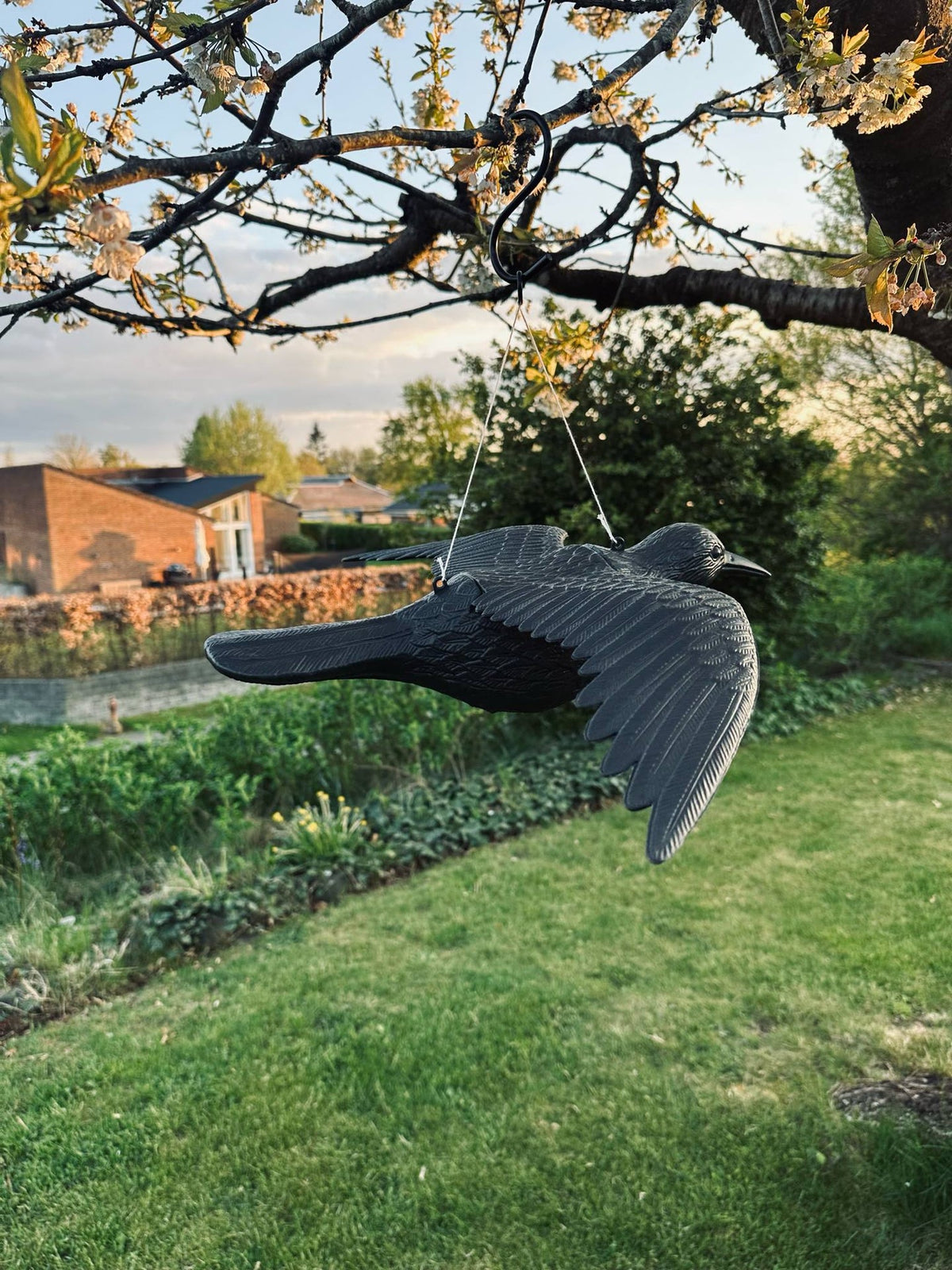Oiseau - RAVEN BLACK