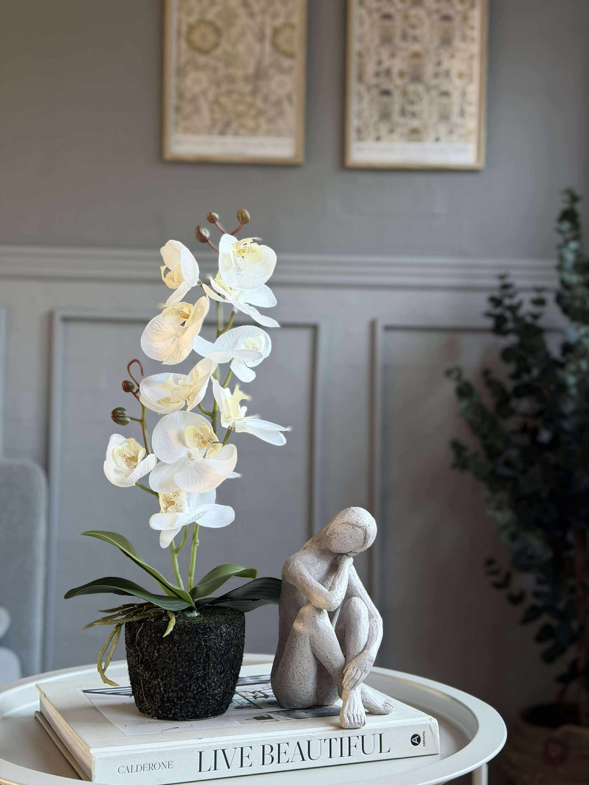 Boule de mousse orchidée