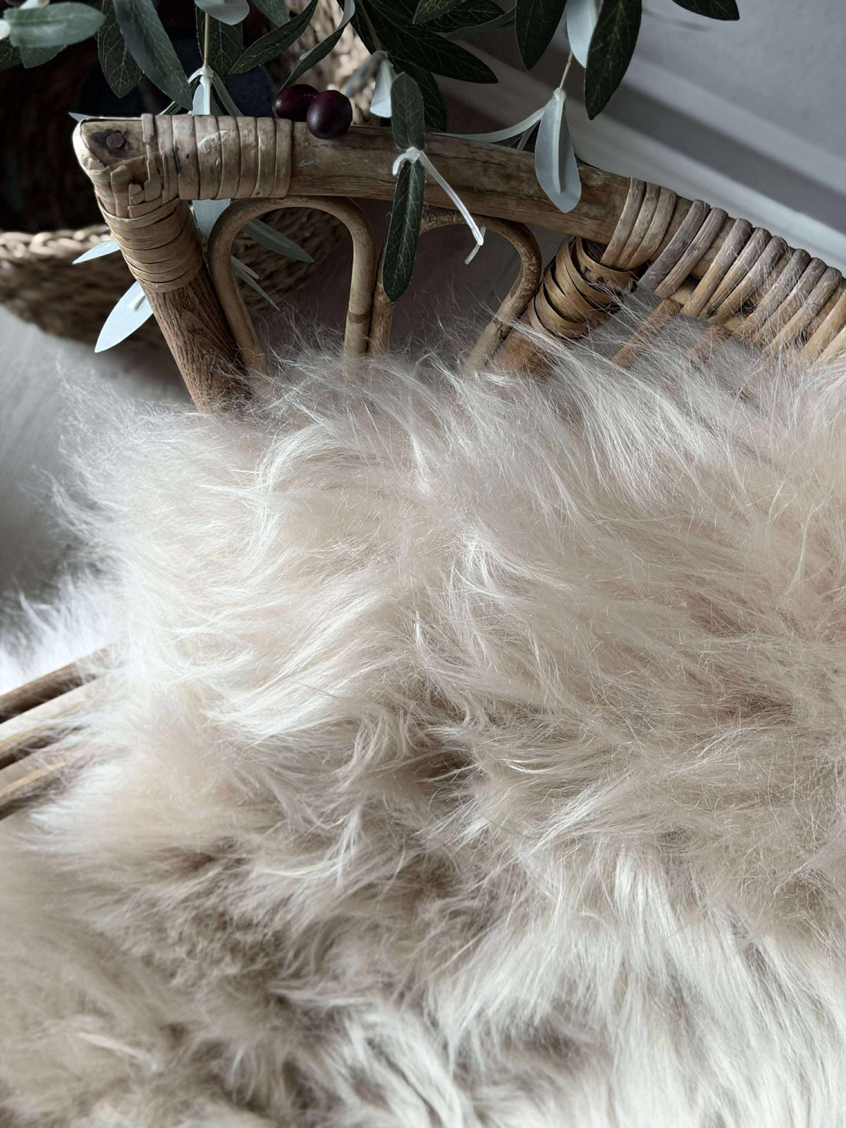 Peau de mouton islandaise - Beige