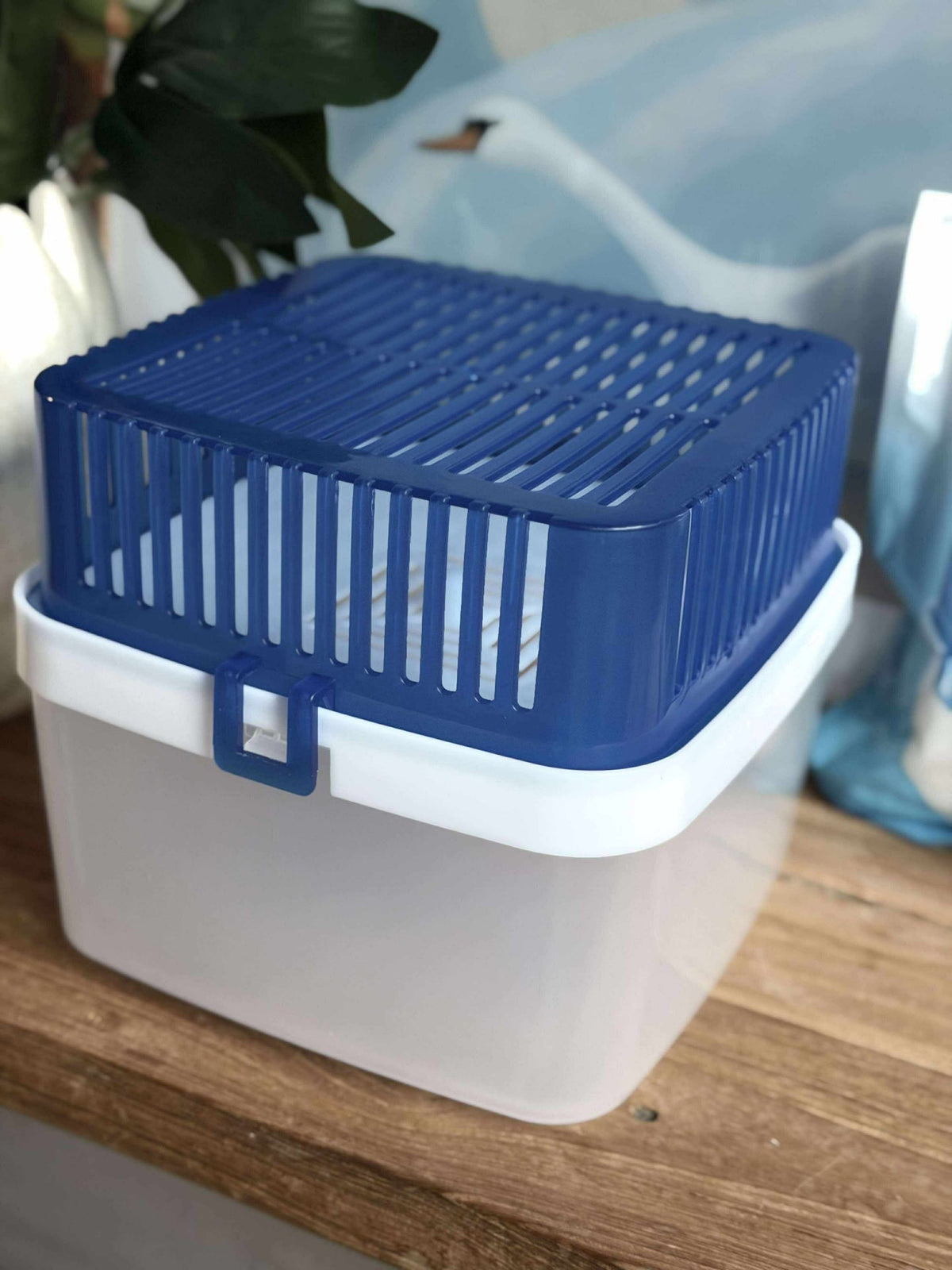 Absorbeur d’humidité 1800 ml + 2 recharges