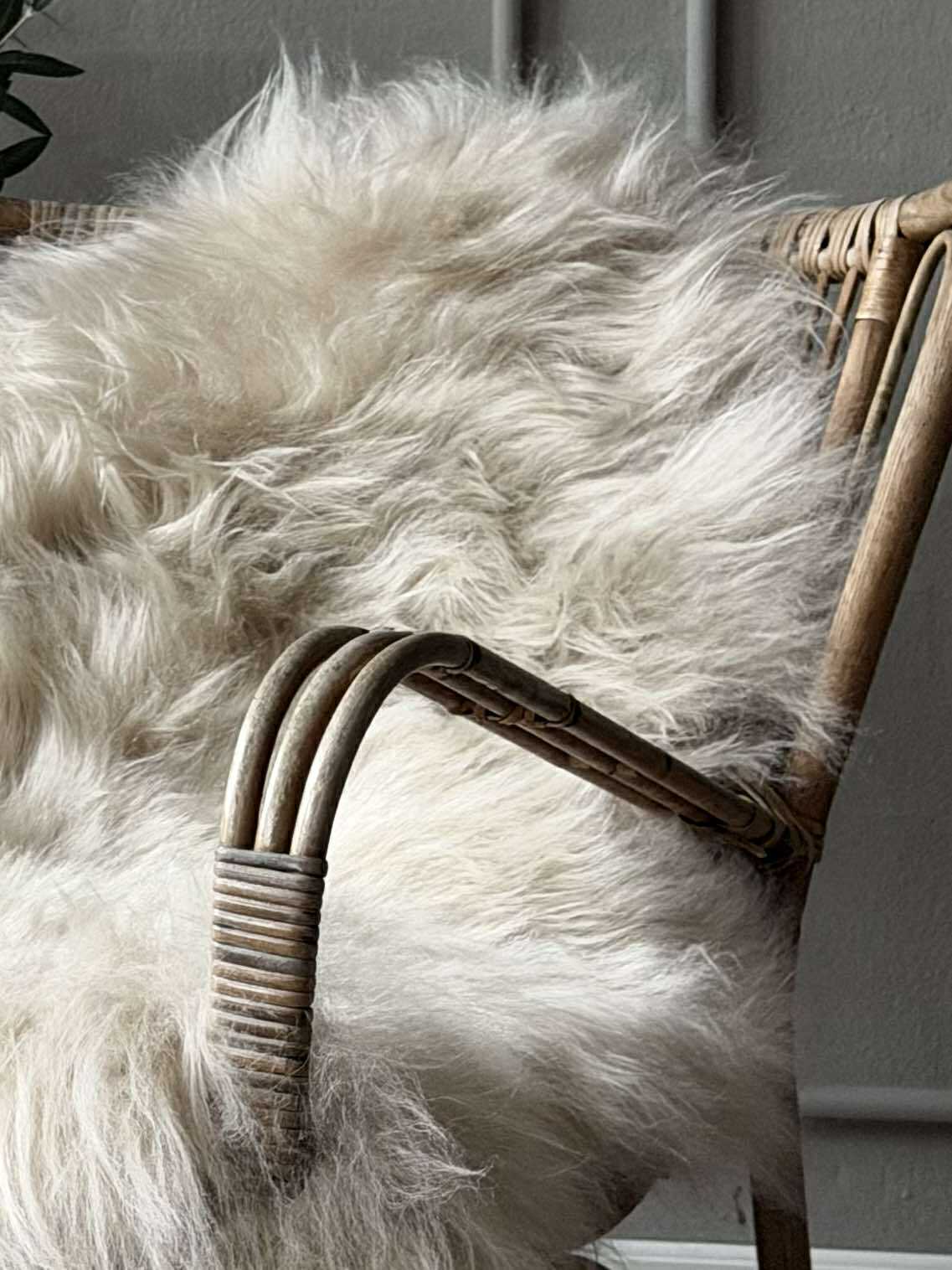 Peau de mouton islandaise - Beige
