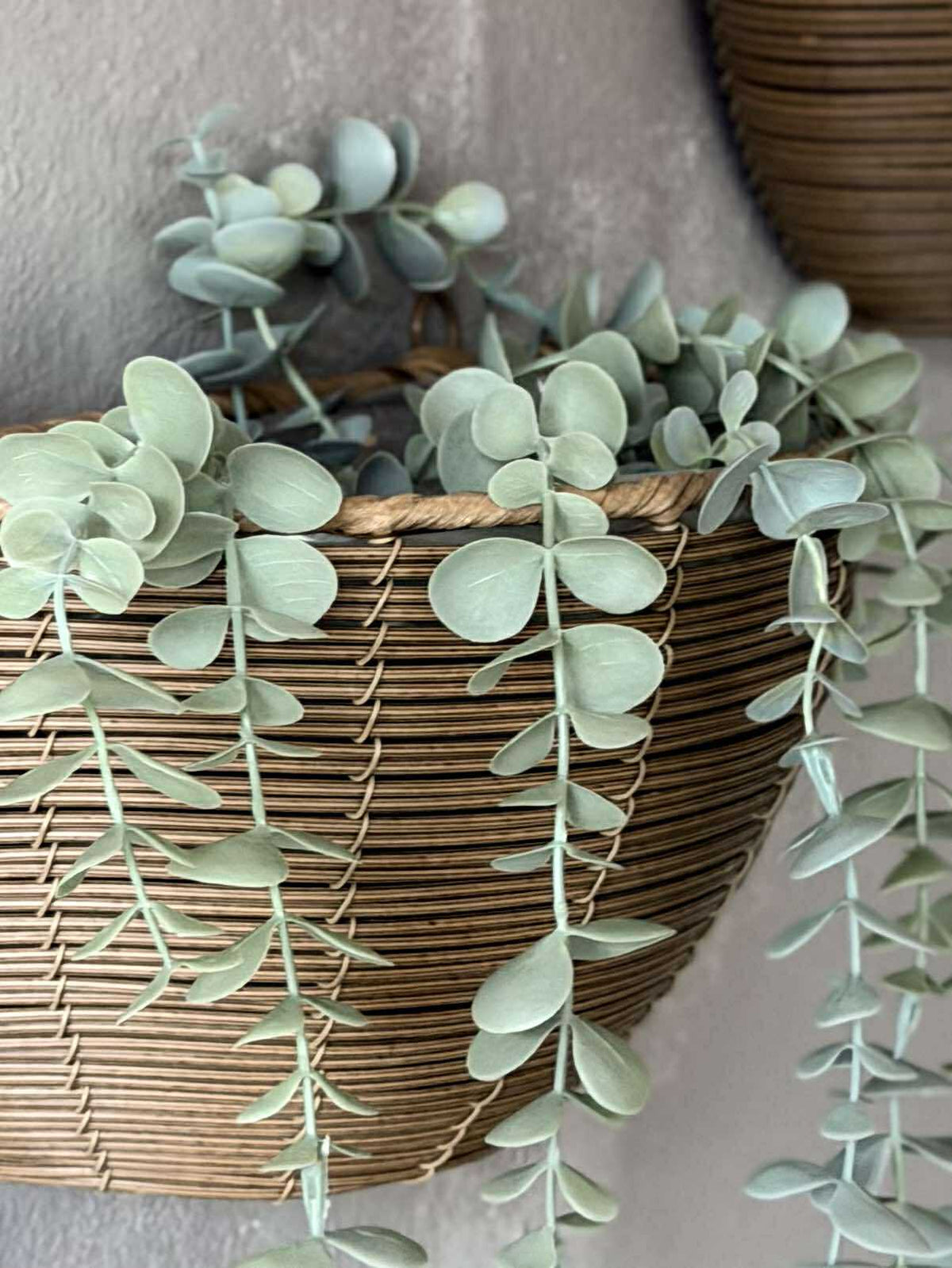 Panier de plante en rotin