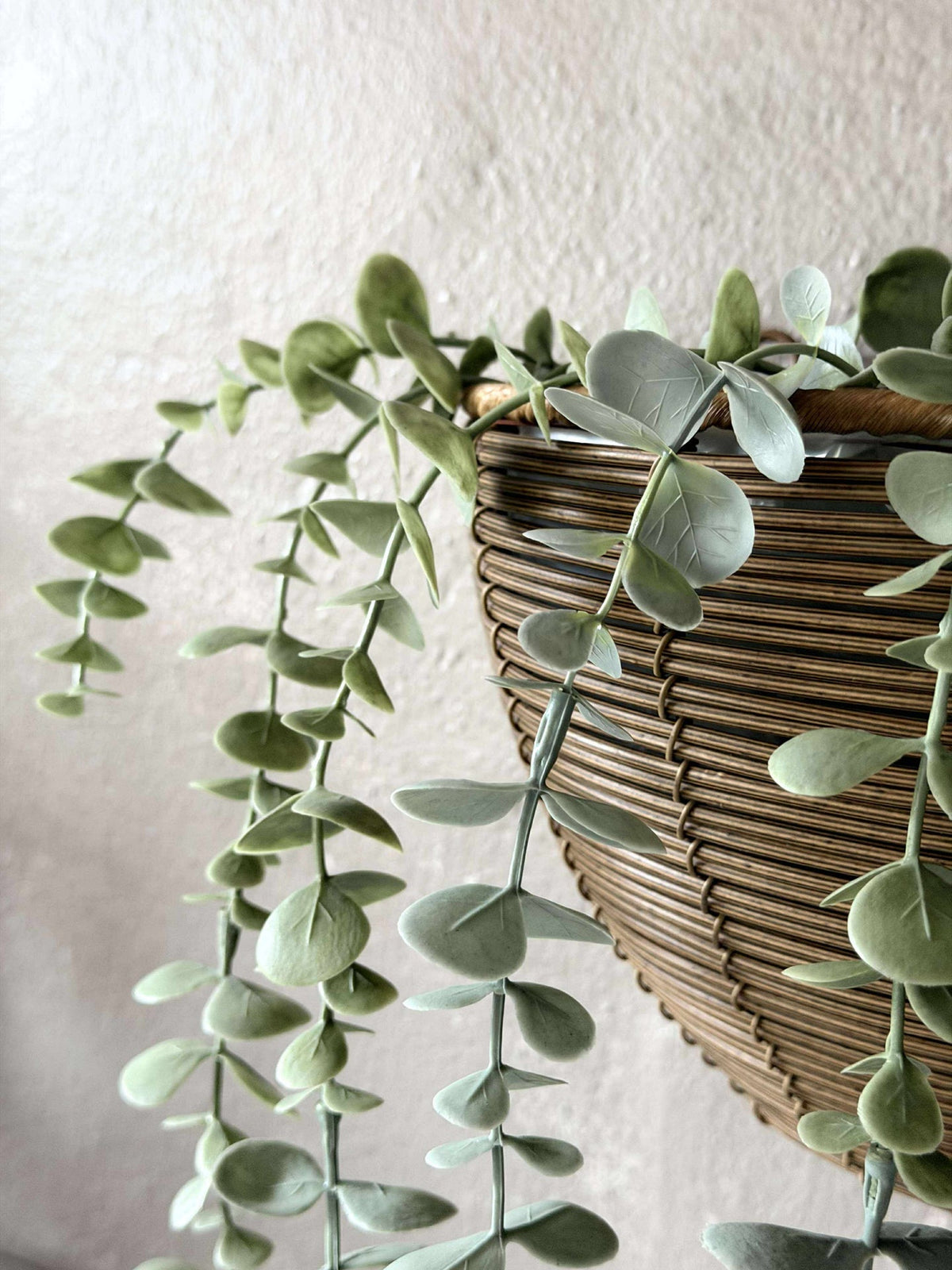 Panier de plante en rotin