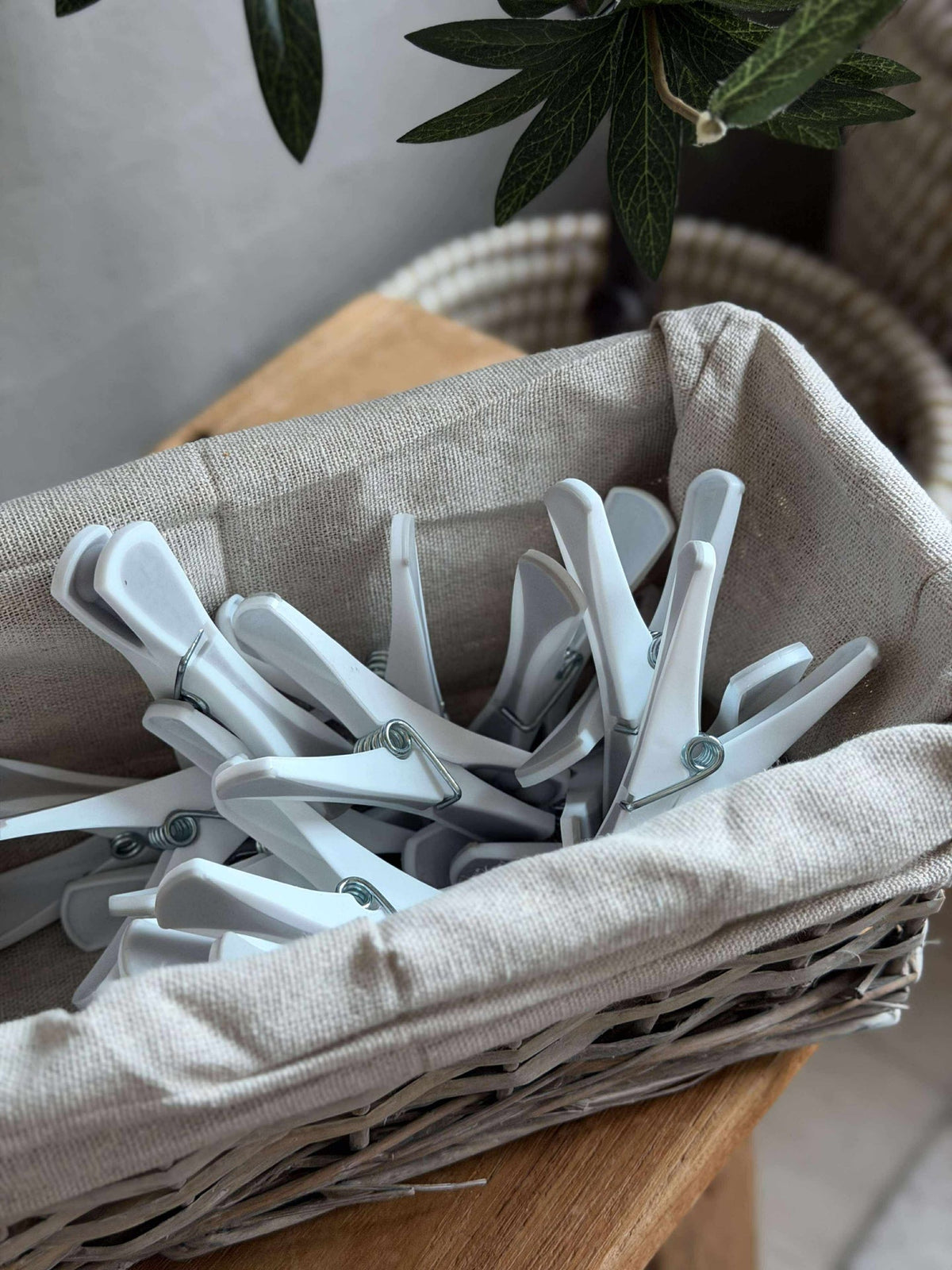 Pinces à linge 18 pcs