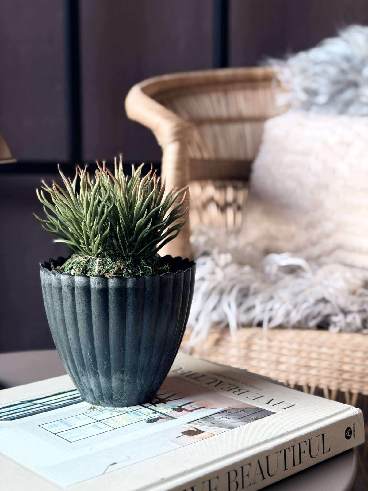 Fleur succulente boule de mousse
