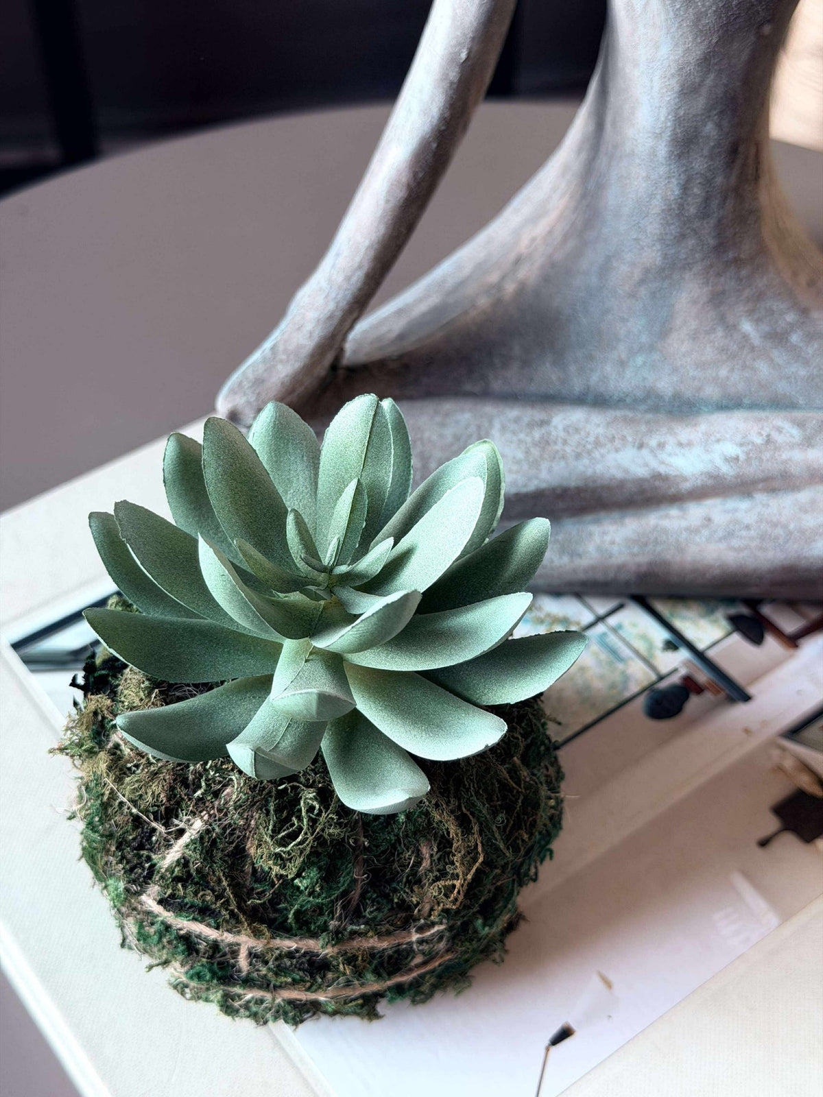Boule de mousse succulente Blomst