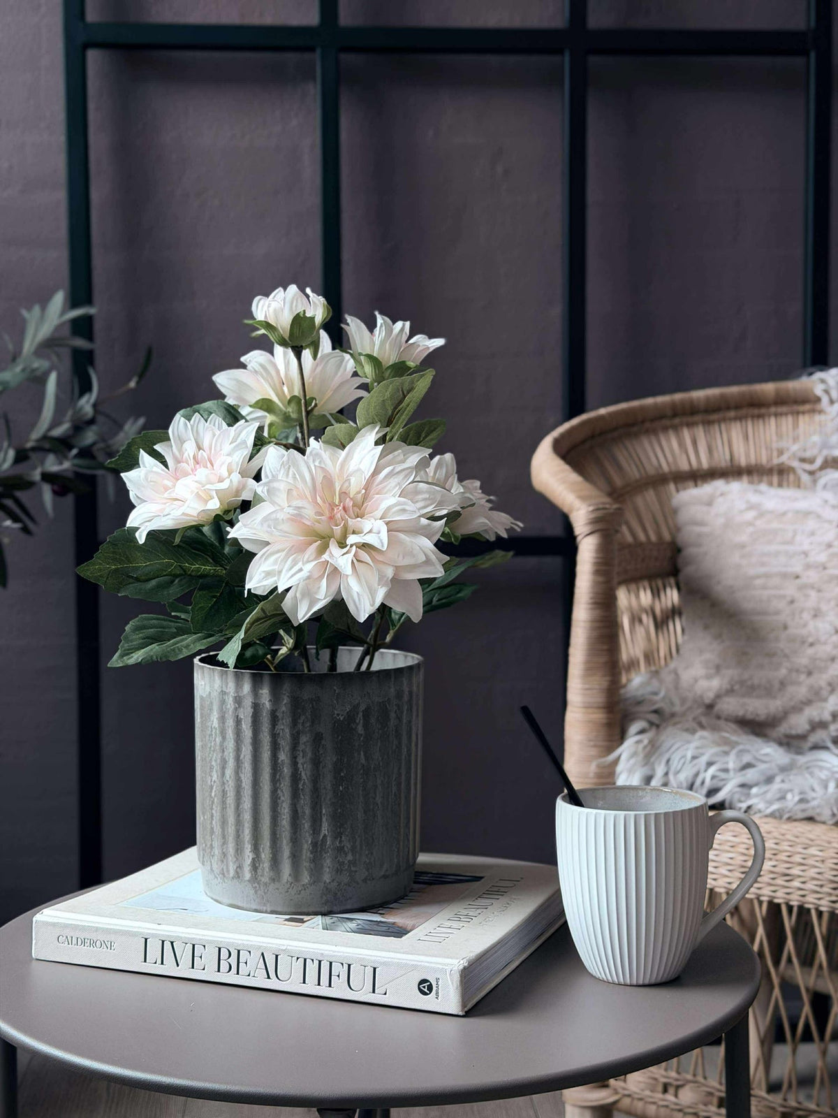 Dahlia en pot - Blanc