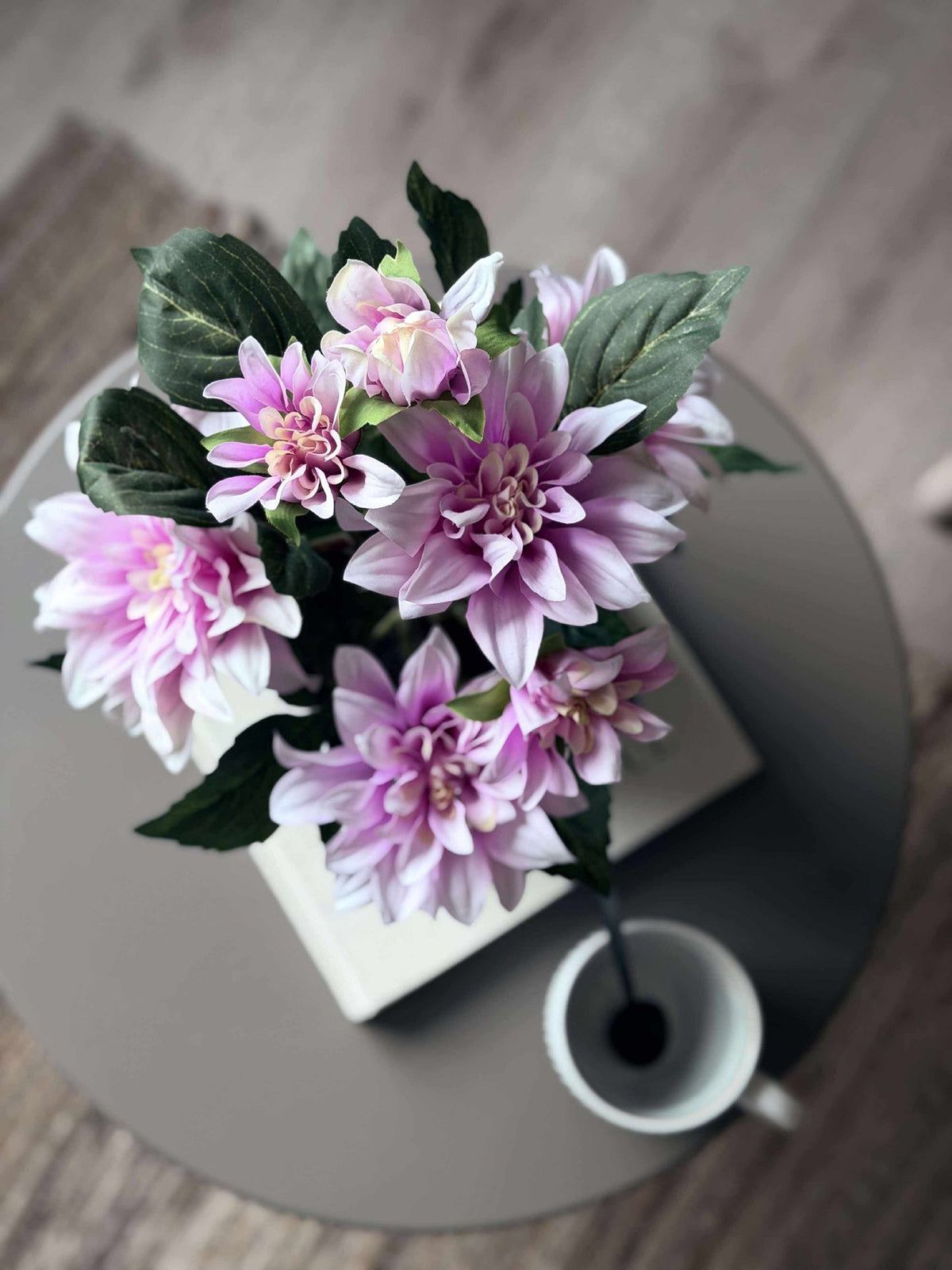 Dahlia en pot - Rose