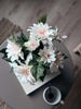 Dahlia en pot - Blanc