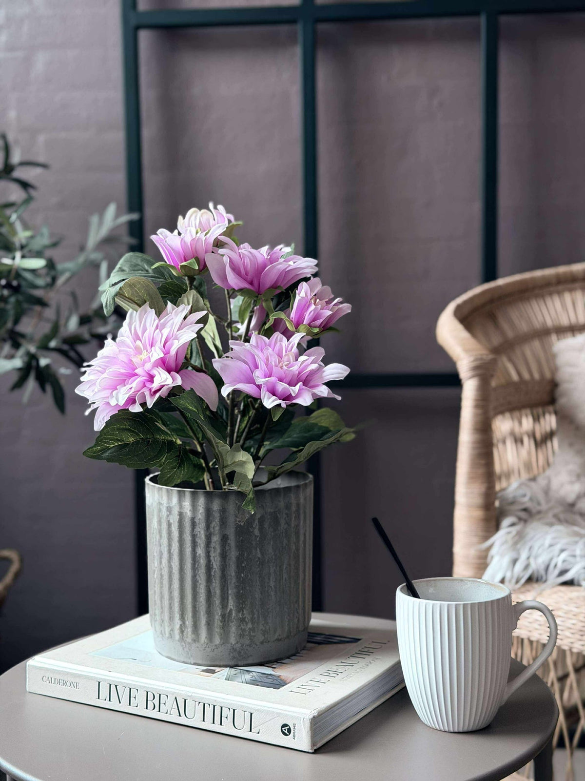 Dahlia en pot - Rose