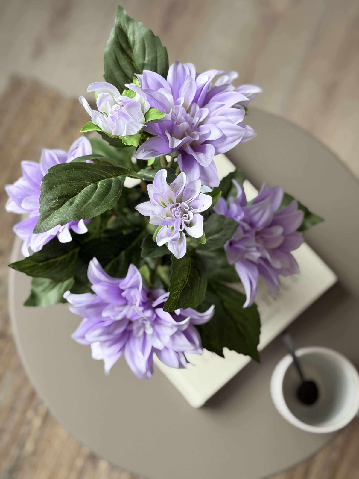 Dahlia en pot - Violet