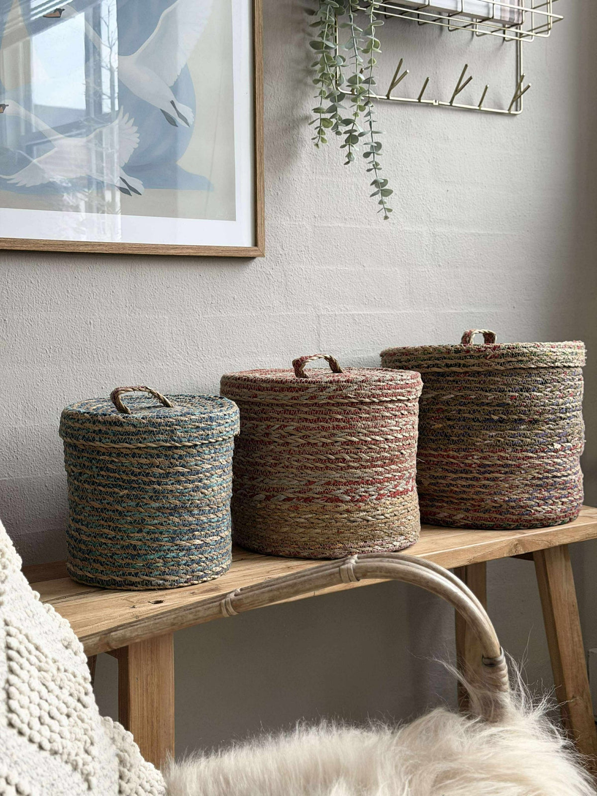 Paniers avec couvercle COLOR - Lot de 3