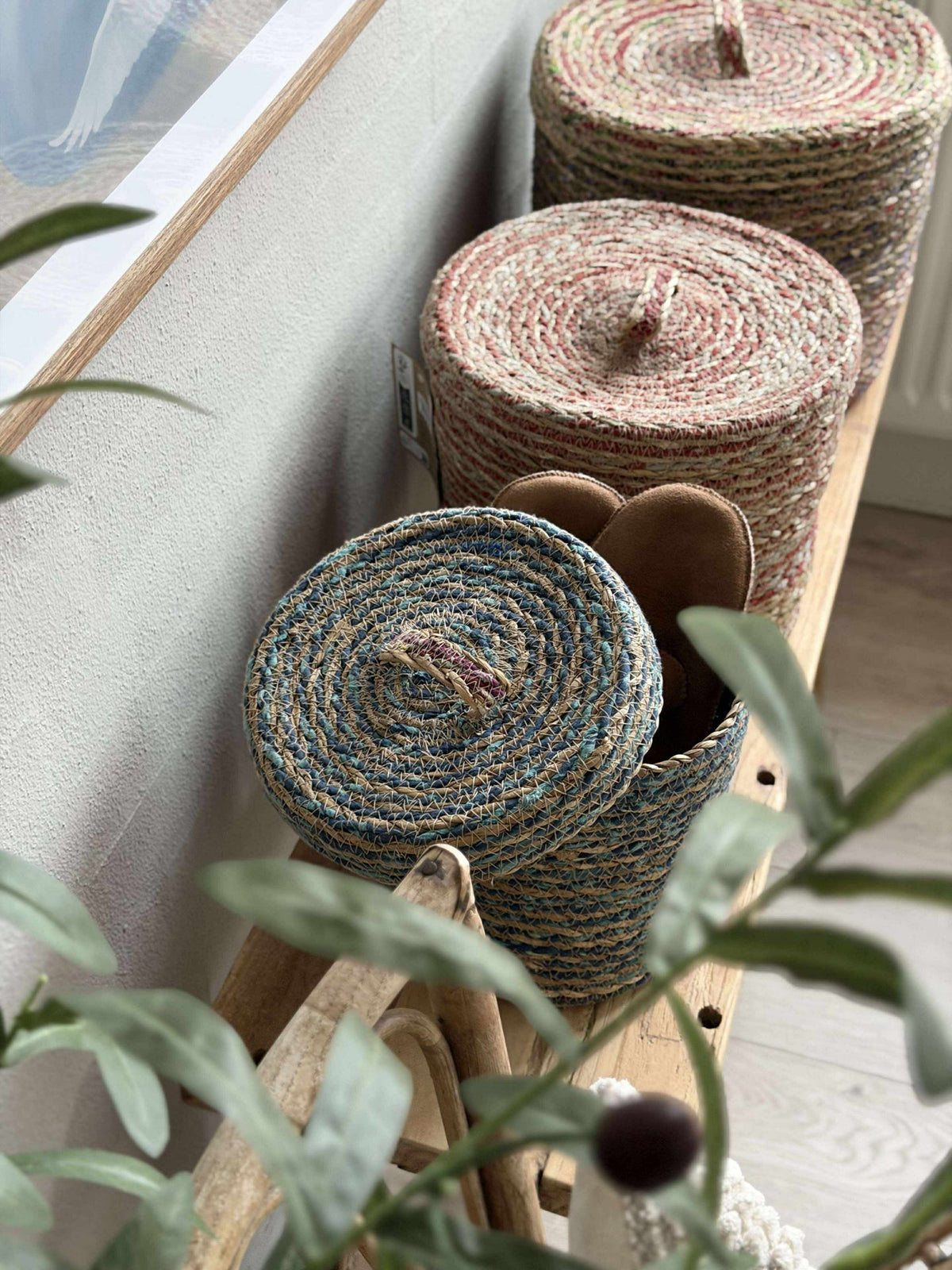 Paniers avec couvercle COLOR - Lot de 3