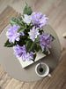 Dahlia en pot - Violet
