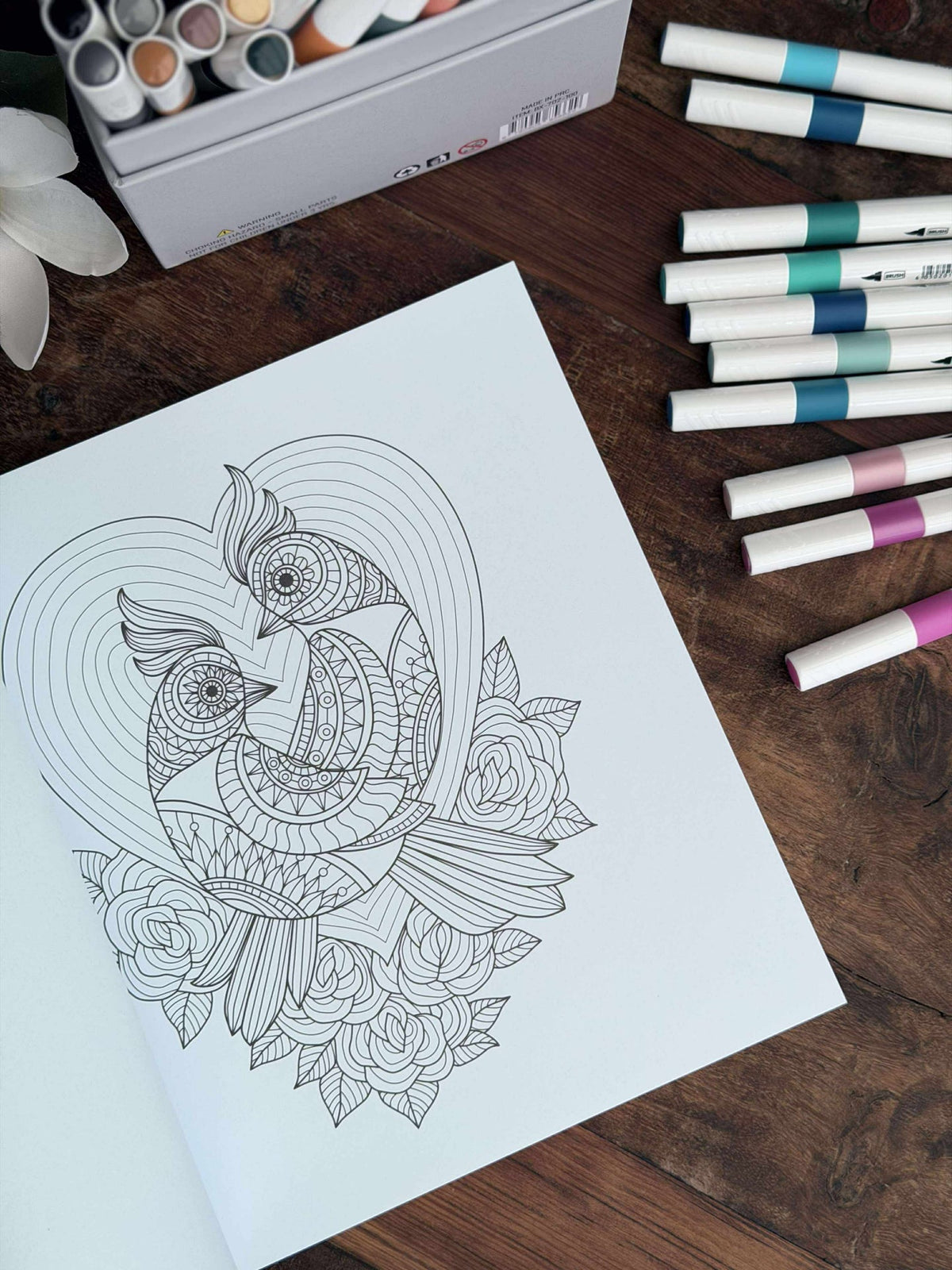 Livre de coloriage pour adultes - MIX