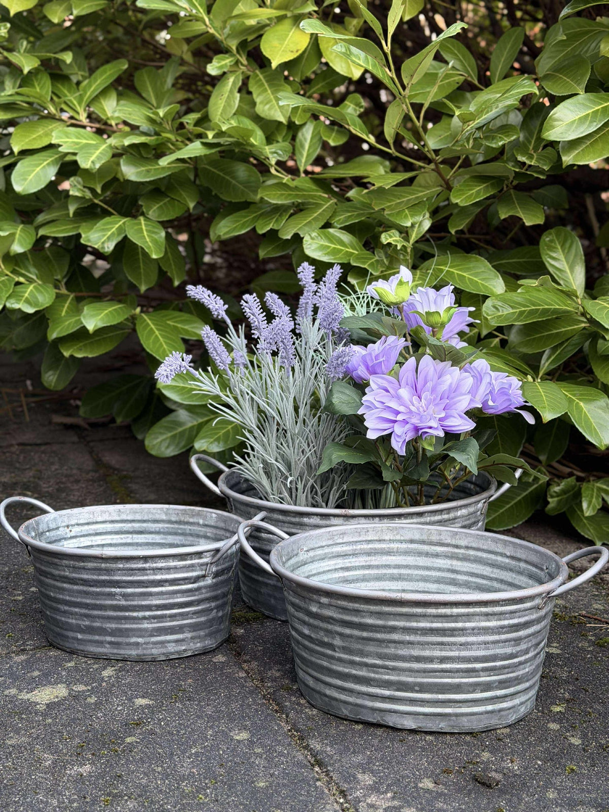 Bacs en zinc - Lot de 3 pièces. Bord clair
