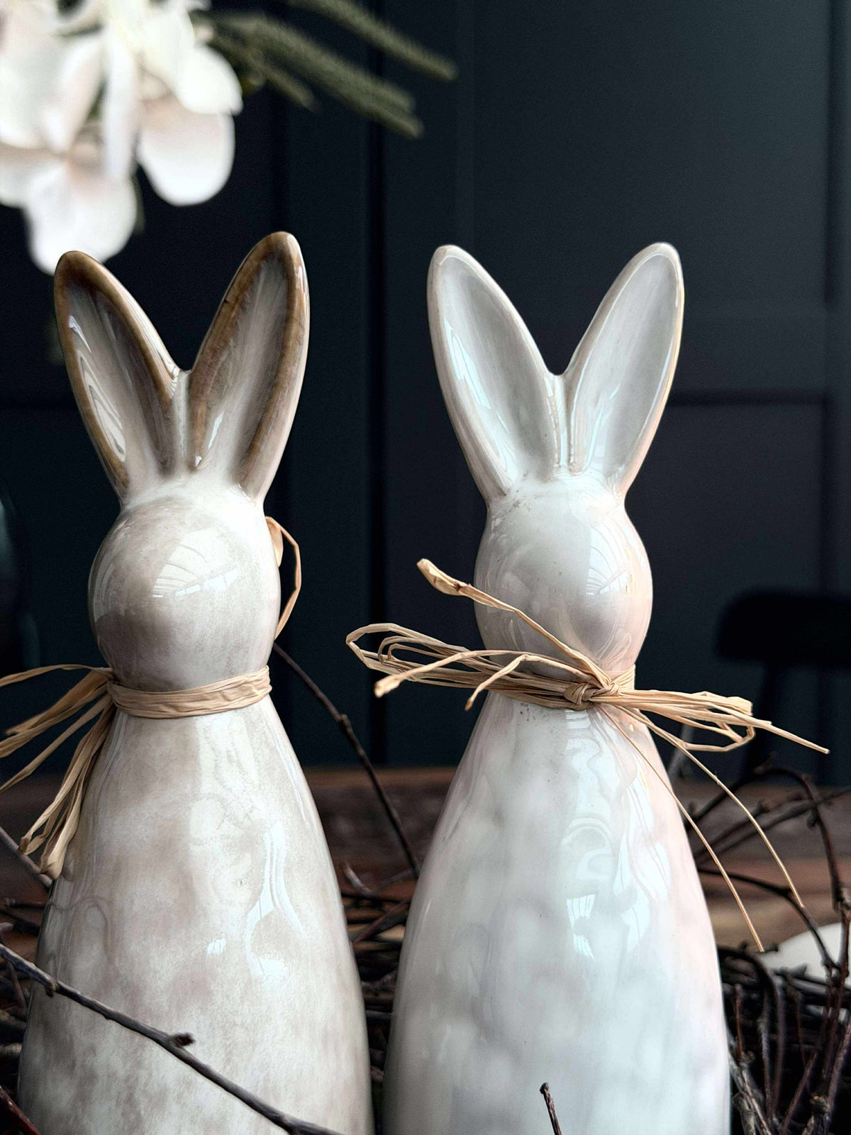 Lapin moyen - Mix