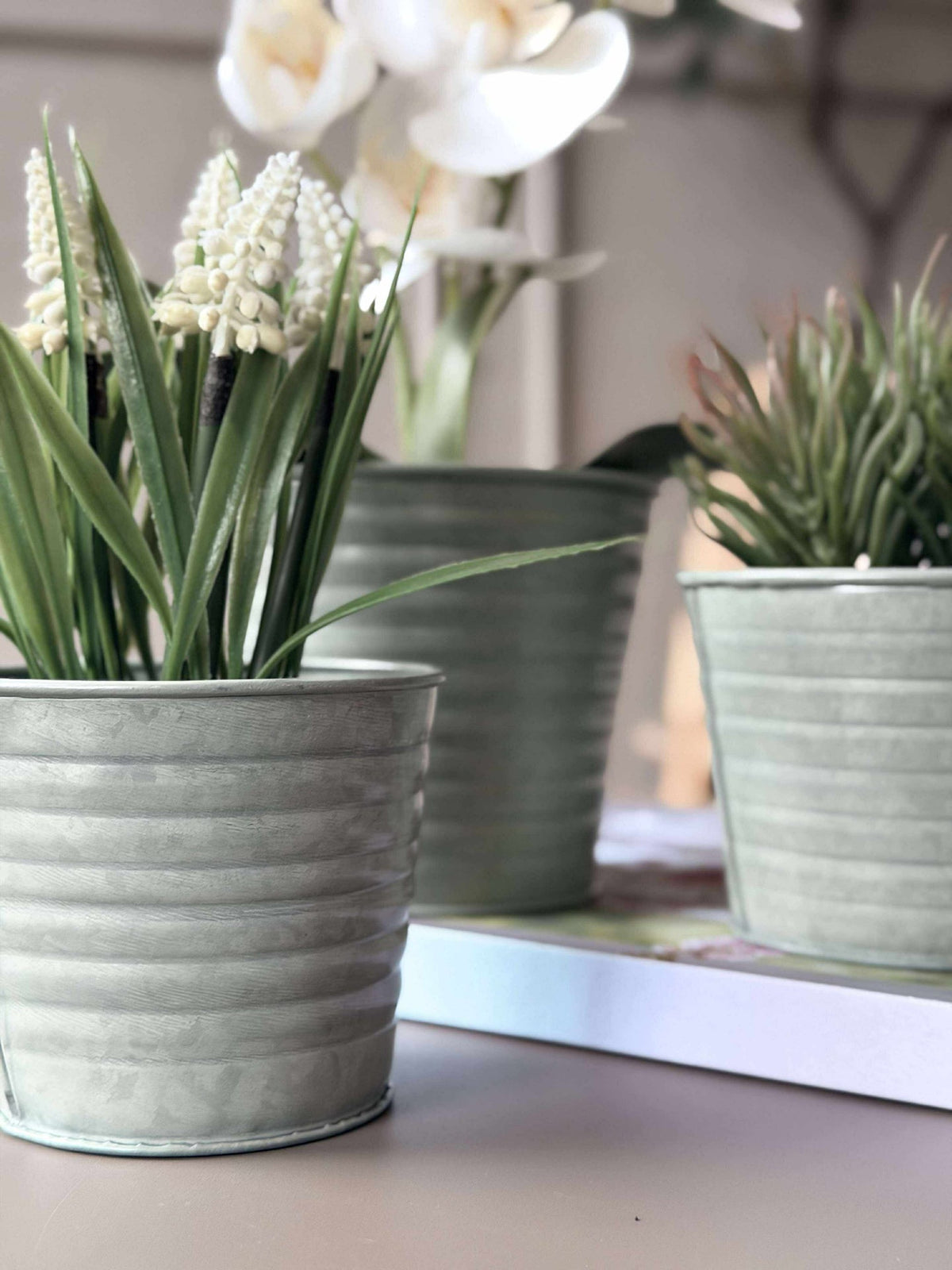 Cache-pot en zinc - Lot de 3