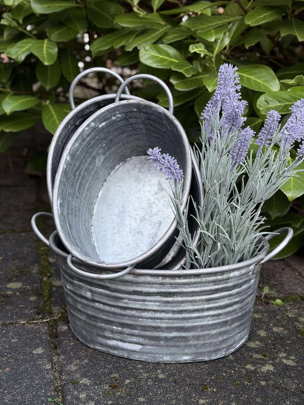 Bacs en zinc - Lot de 3 pièces. Bord clair